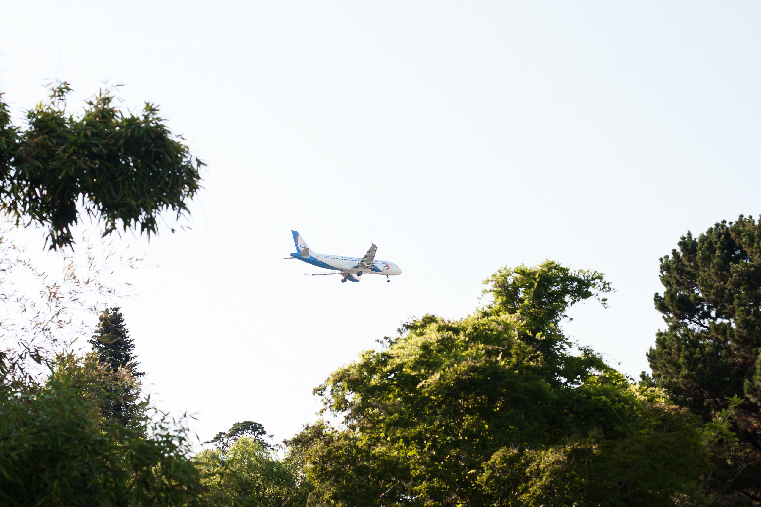 Вера, Надежда, Любовь!. Фотограф новорожденных в Брянске Анжелика Прохоренкова