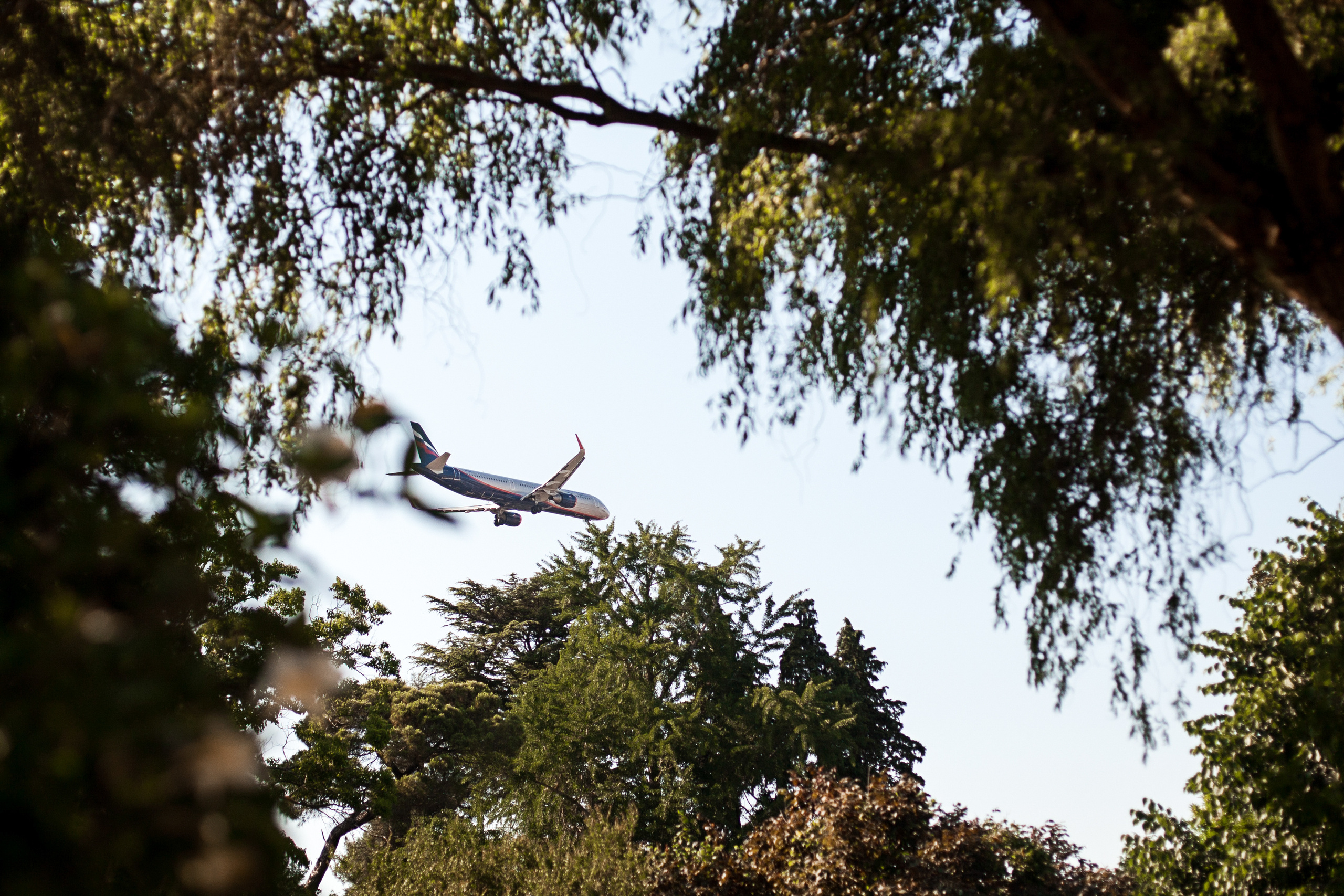 Вера, Надежда, Любовь!. Фотограф новорожденных в Брянске Анжелика Прохоренкова