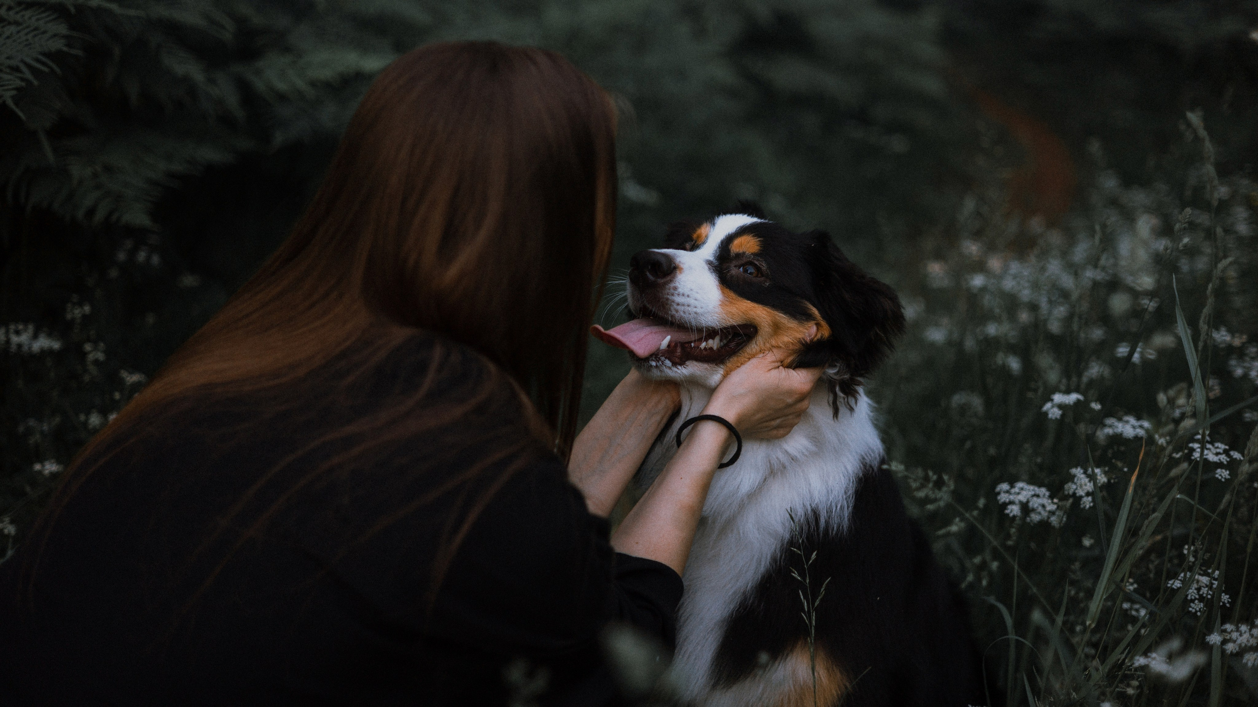 Яна и Уга. Фотограф-анималист Богданова Полина