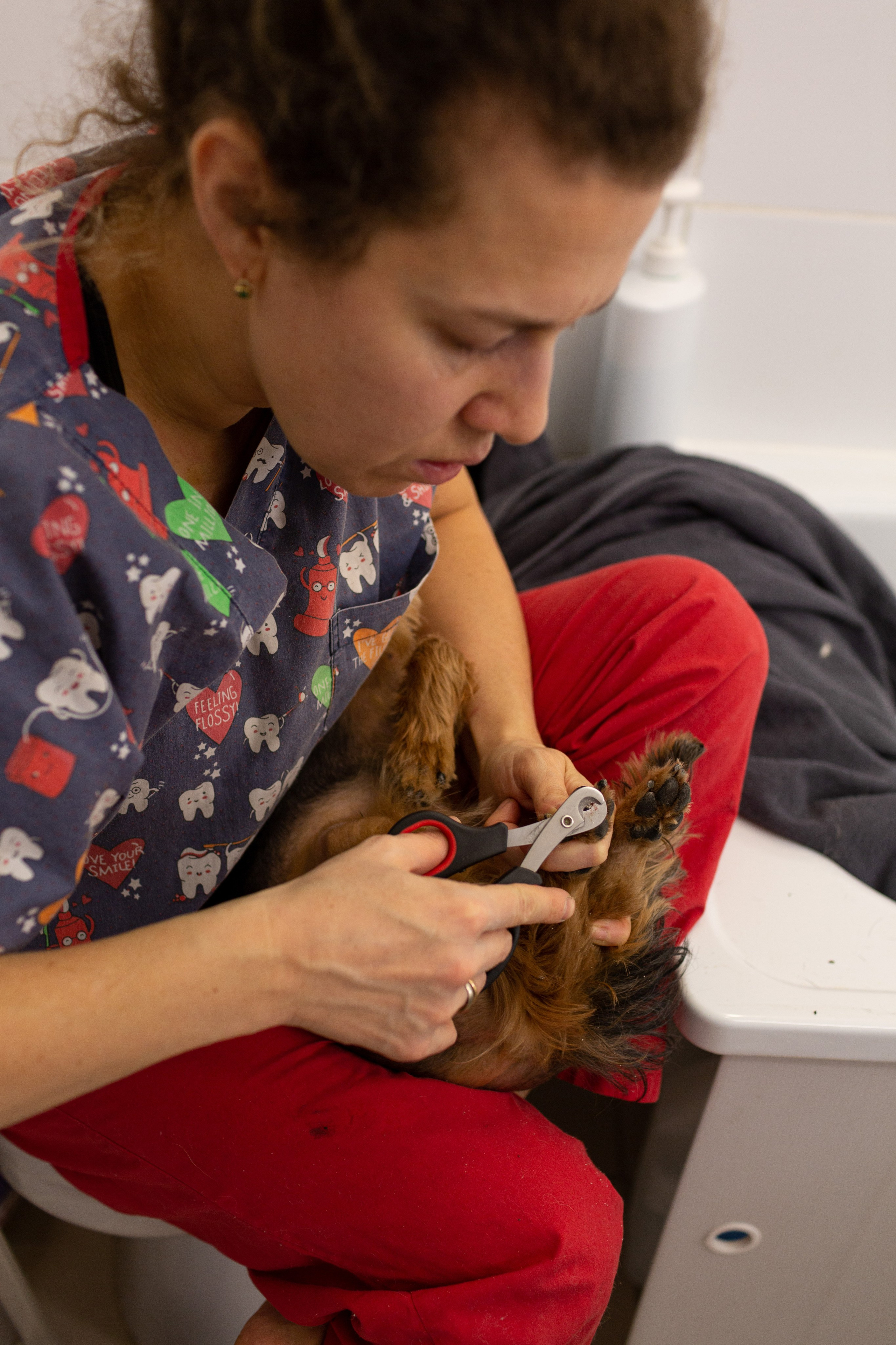 Профессия, блог. Фотограф Наталья Угрюмова, г. Москва