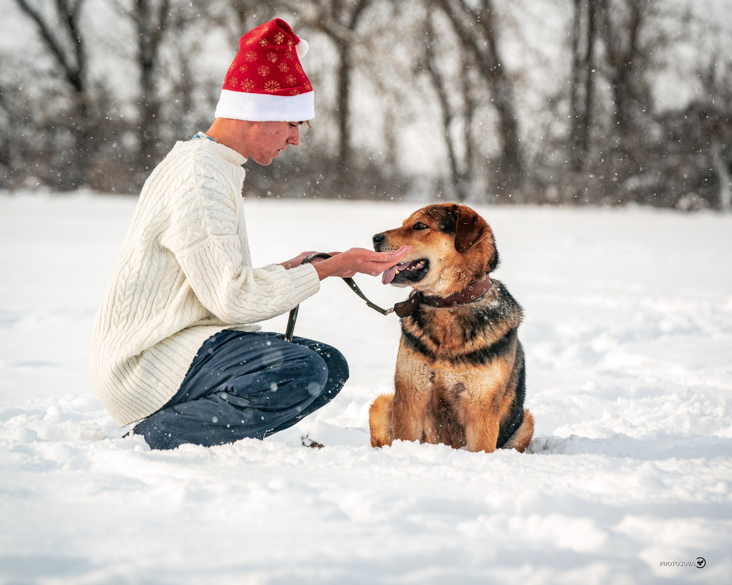 ФОТОПАМЯТЬ ВАШИХ ЭМОЦИЙ. Фотограф-анималист, семейный фотограф в Москве и Подмосковье. Фотосъёмка кинологических дисциплин