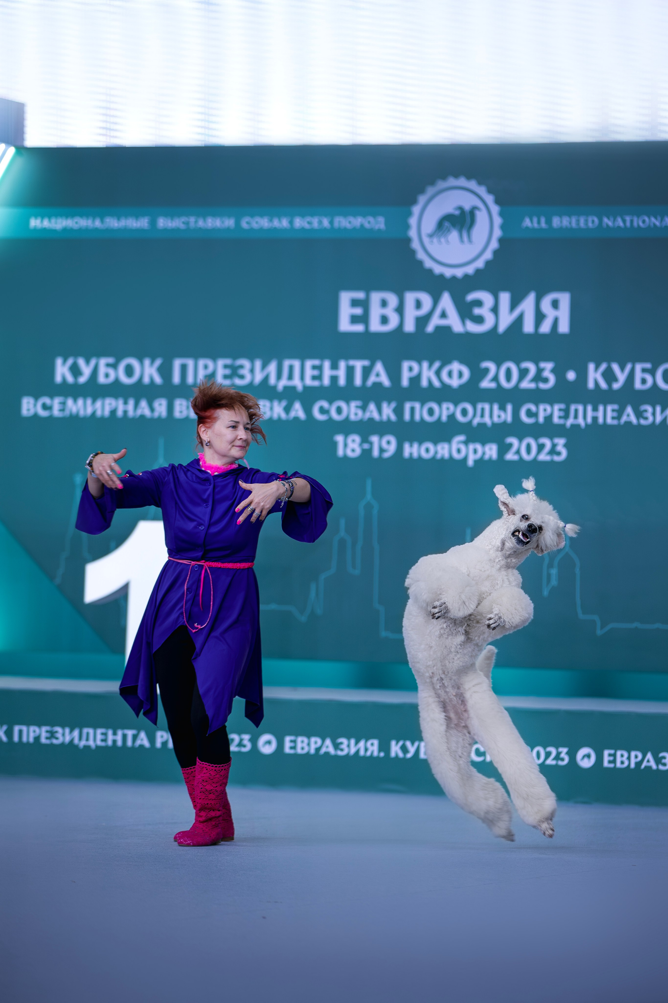 Евразия 2023. Фотограф анималист в Москве Майорова Евгения