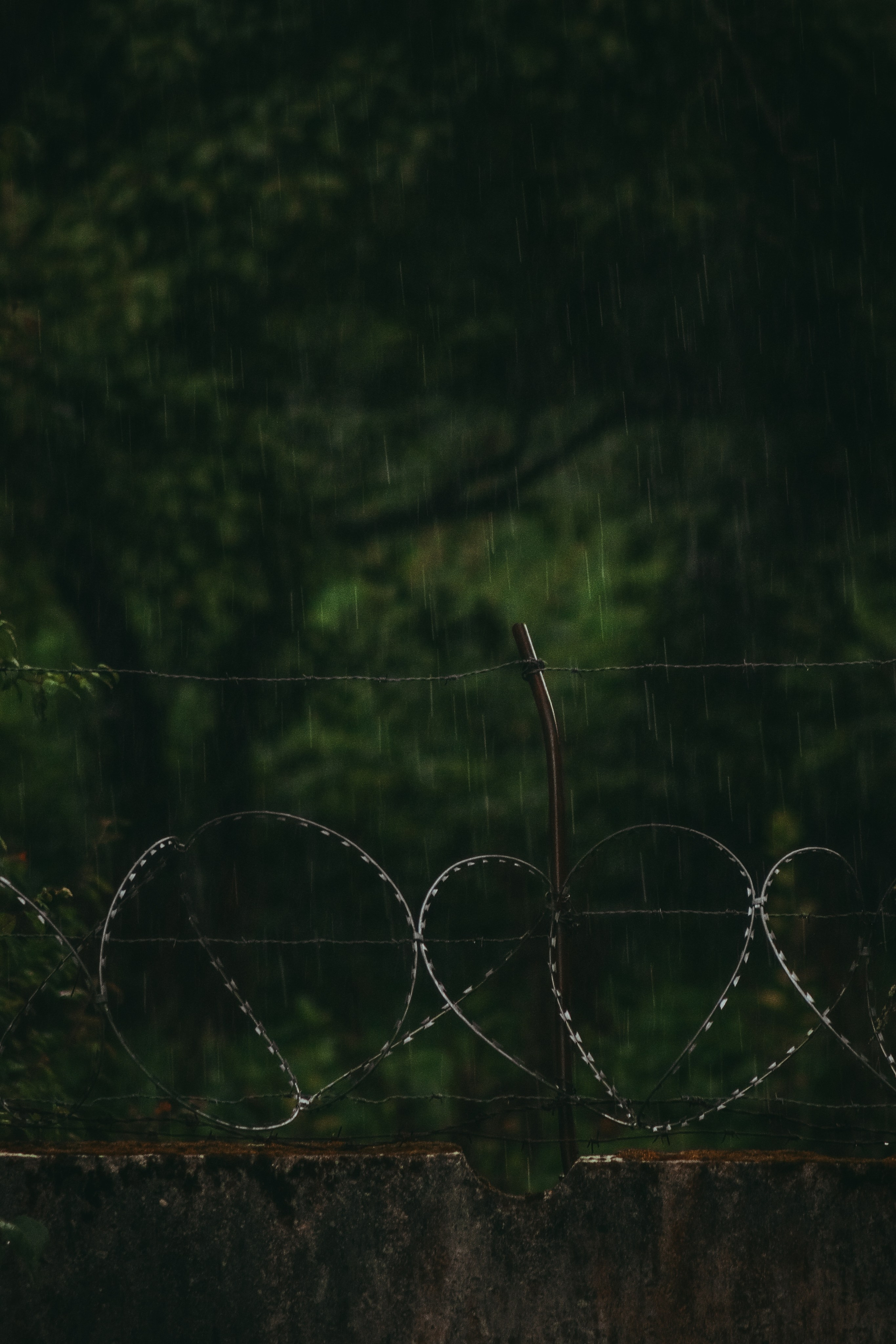 В О Д А. — Digital Noise —