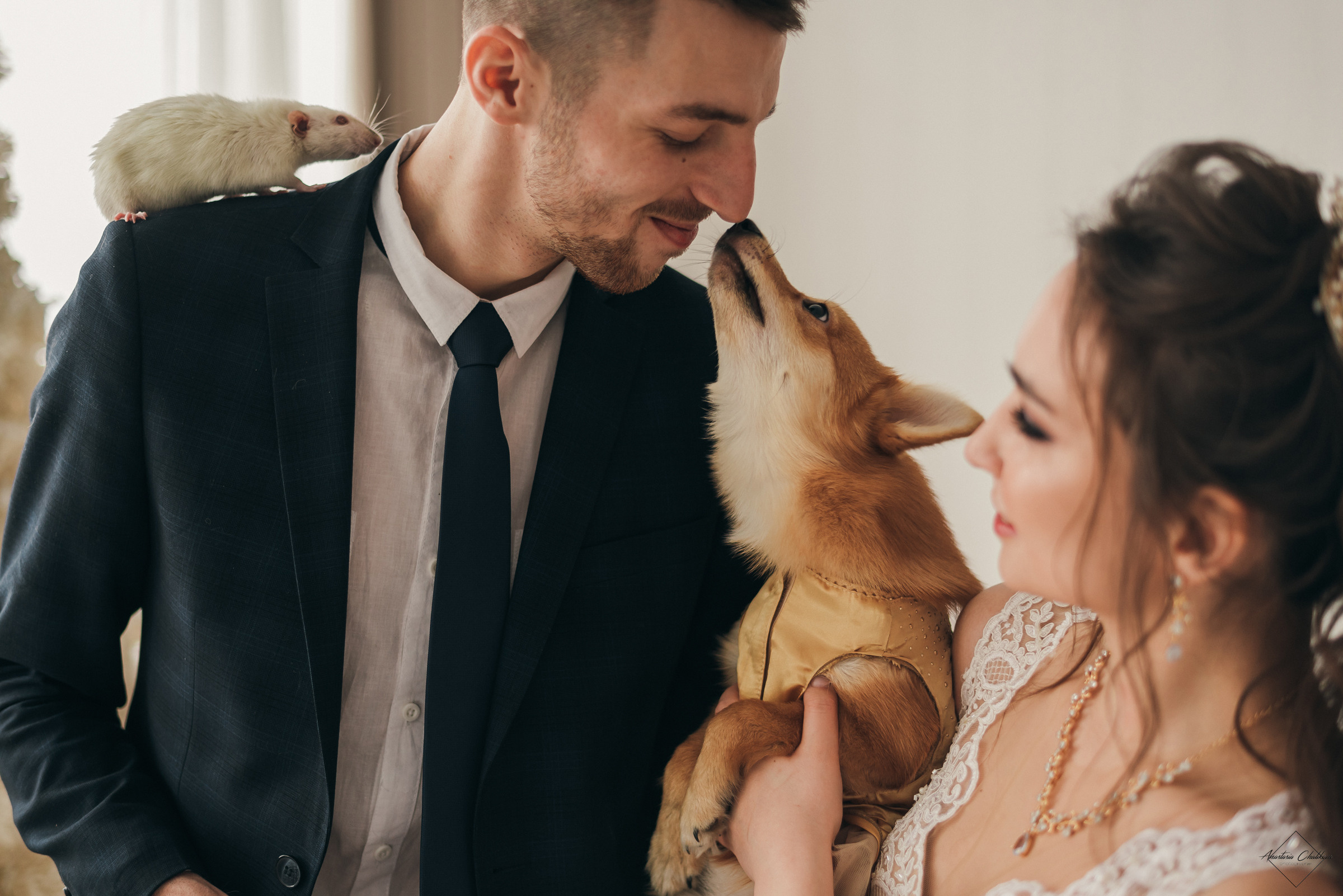 Ильсия и Денис. Свадебный и семейный фотограф в Туле Анастасия Чаликова