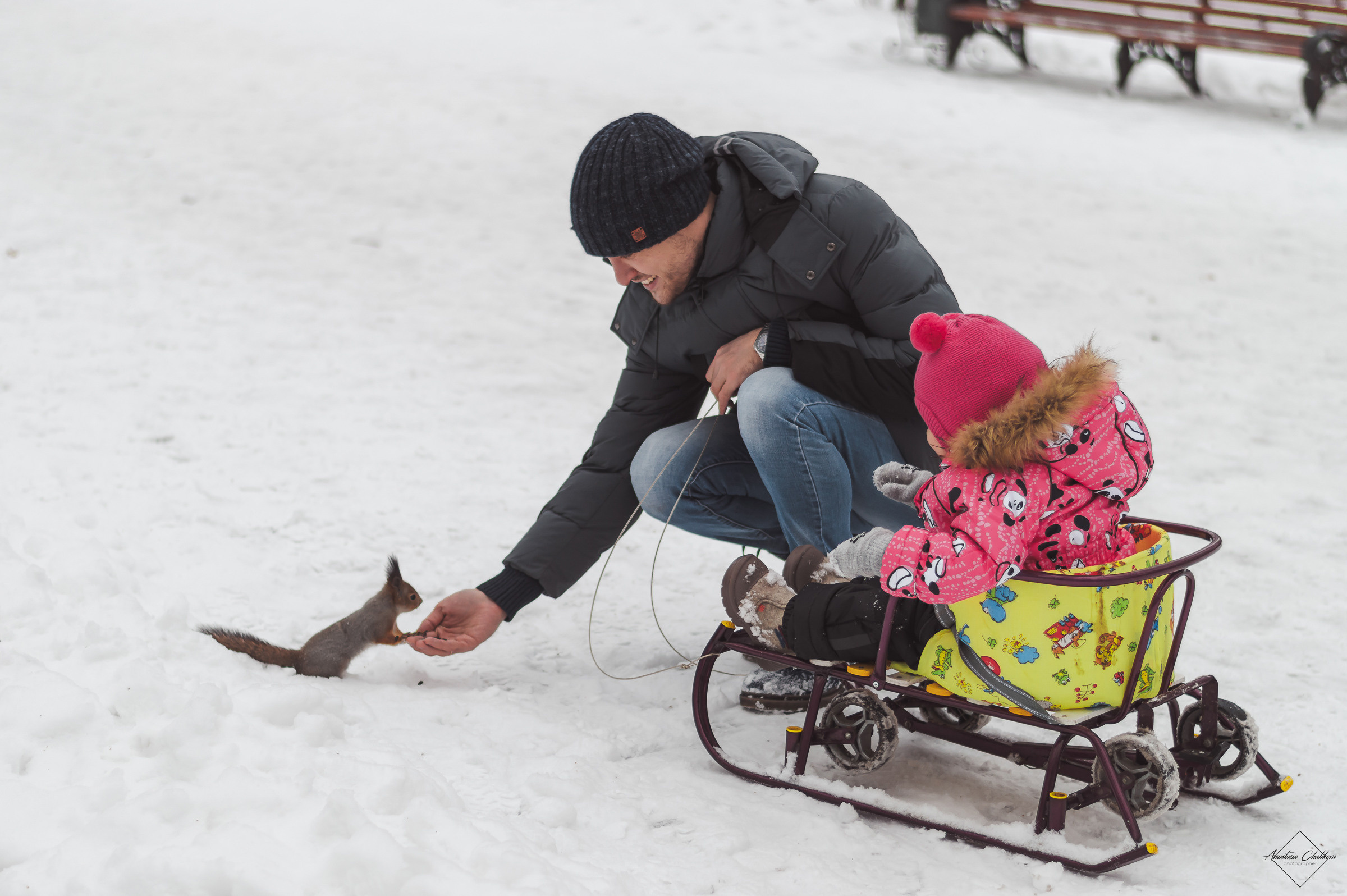 Елена, Евгений и Алиса. Свадебный и семейный фотограф в Туле Анастасия Чаликова