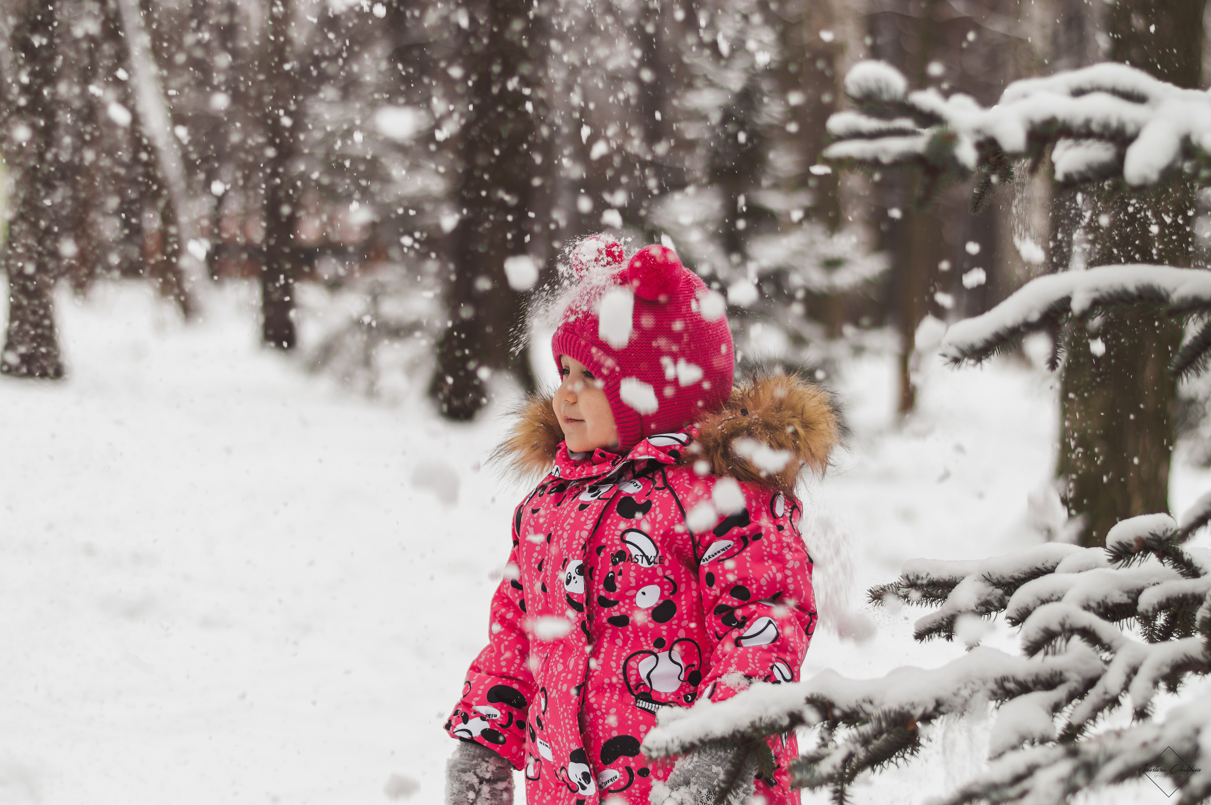 Елена, Евгений и Алиса. Свадебный и семейный фотограф в Туле Анастасия Чаликова