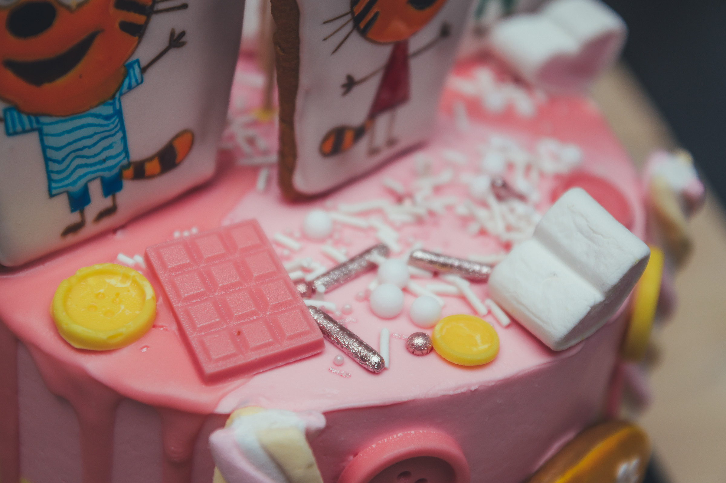 День Рождение Алисы. Свадебный и семейный фотограф в Туле Анастасия Чаликова