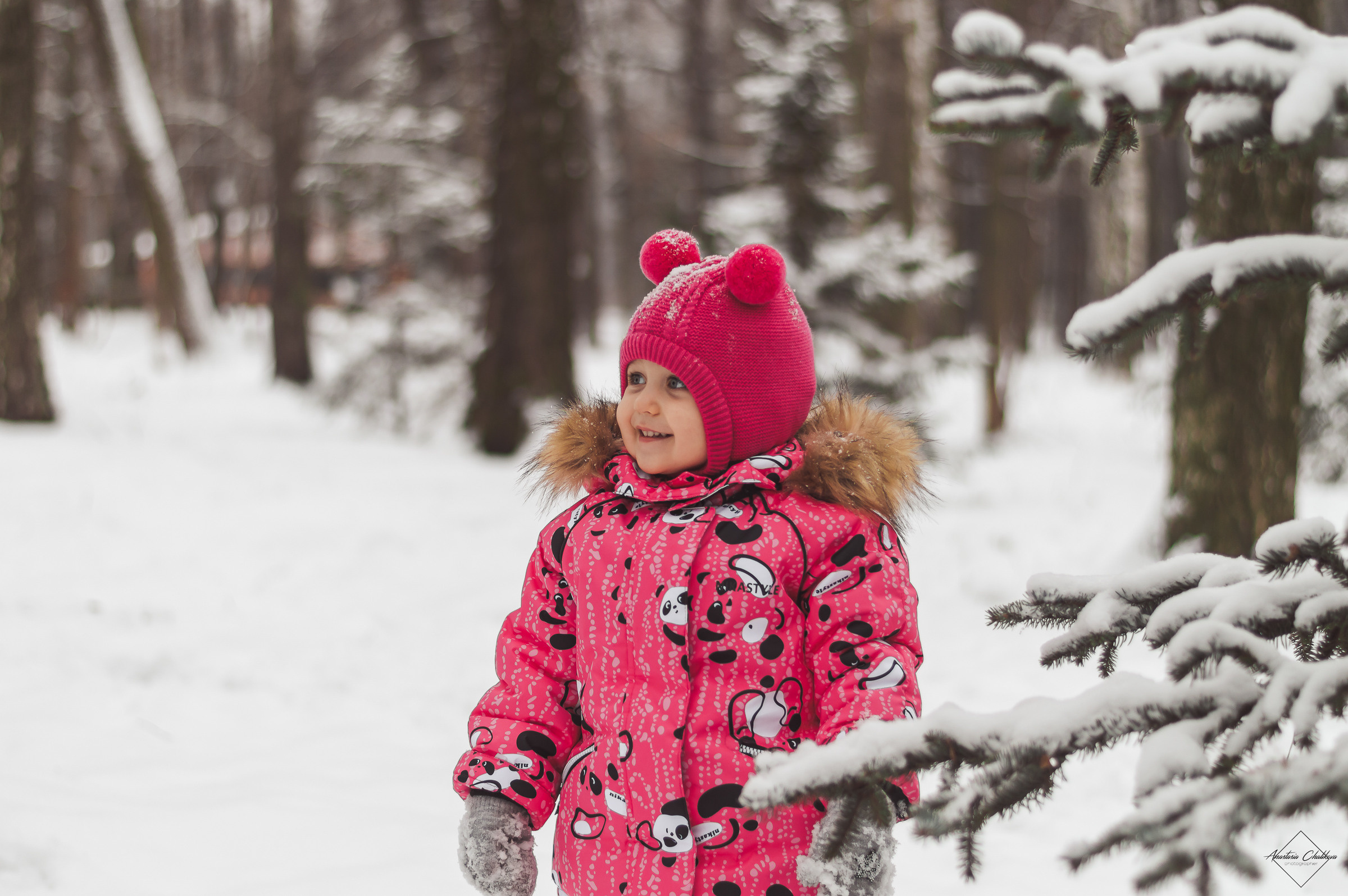 Елена, Евгений и Алиса. Свадебный и семейный фотограф в Туле Анастасия Чаликова