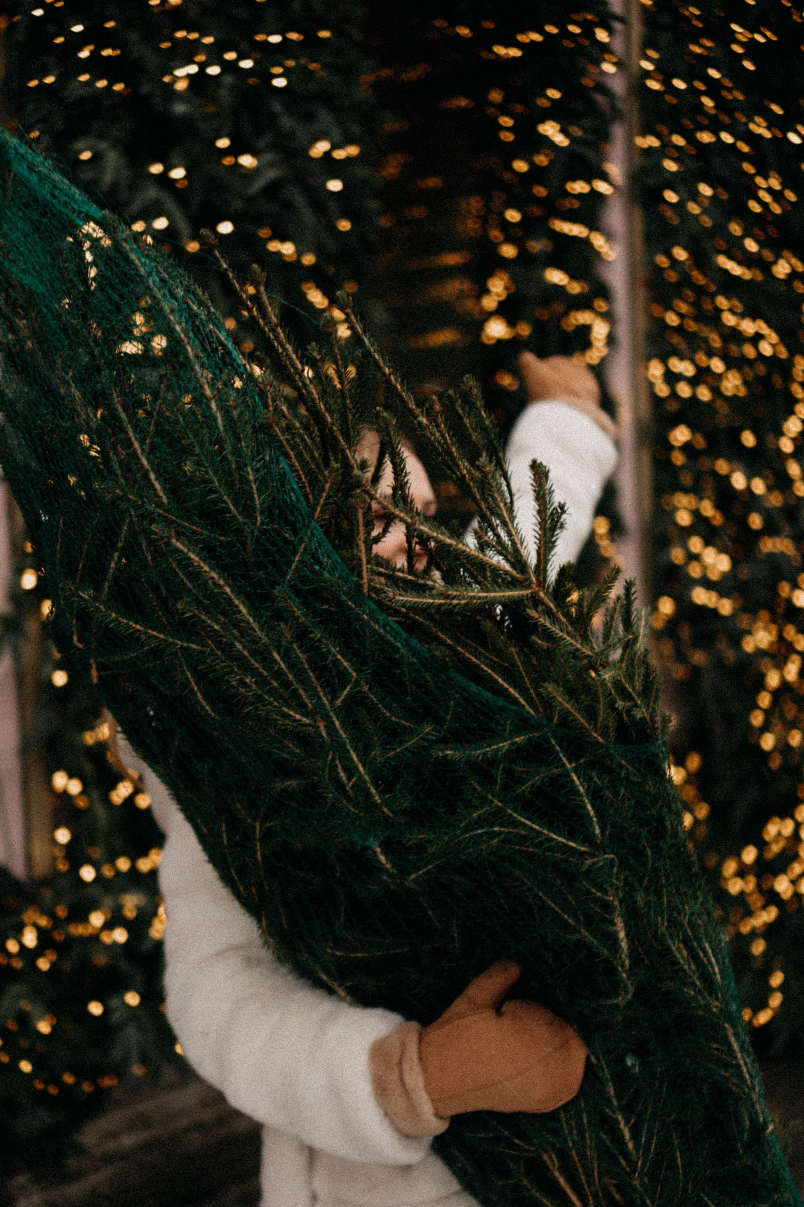 Новогодняя. Профессиональный фотограф, Санкт-Петербург — Виктория Богомолова
