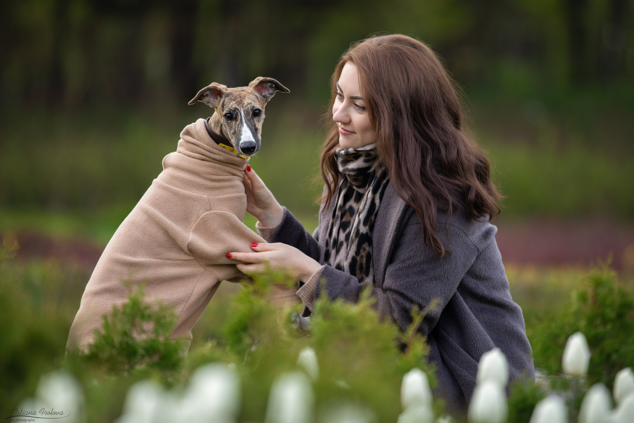 Городская фотопрогулка для Насти и щенка уиппета Корицы. Фотограф-анималист в Москве и Московской области Татьяна Фролова