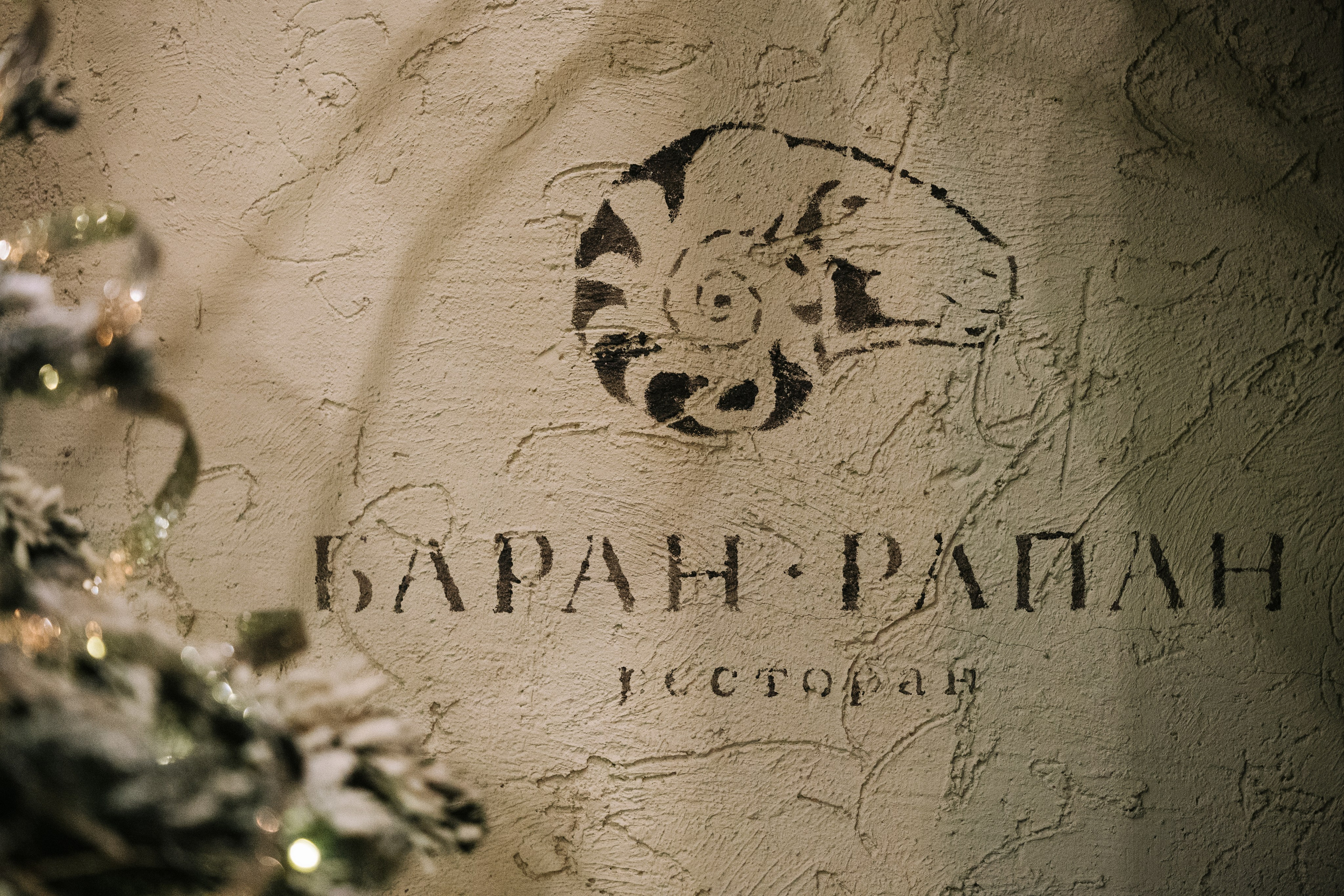 БАРАН РАПАН | РОЖДЕСТВЕНСКИЙ ВЕЧЕР. Фотограф в Сочи Екатерина Потапова