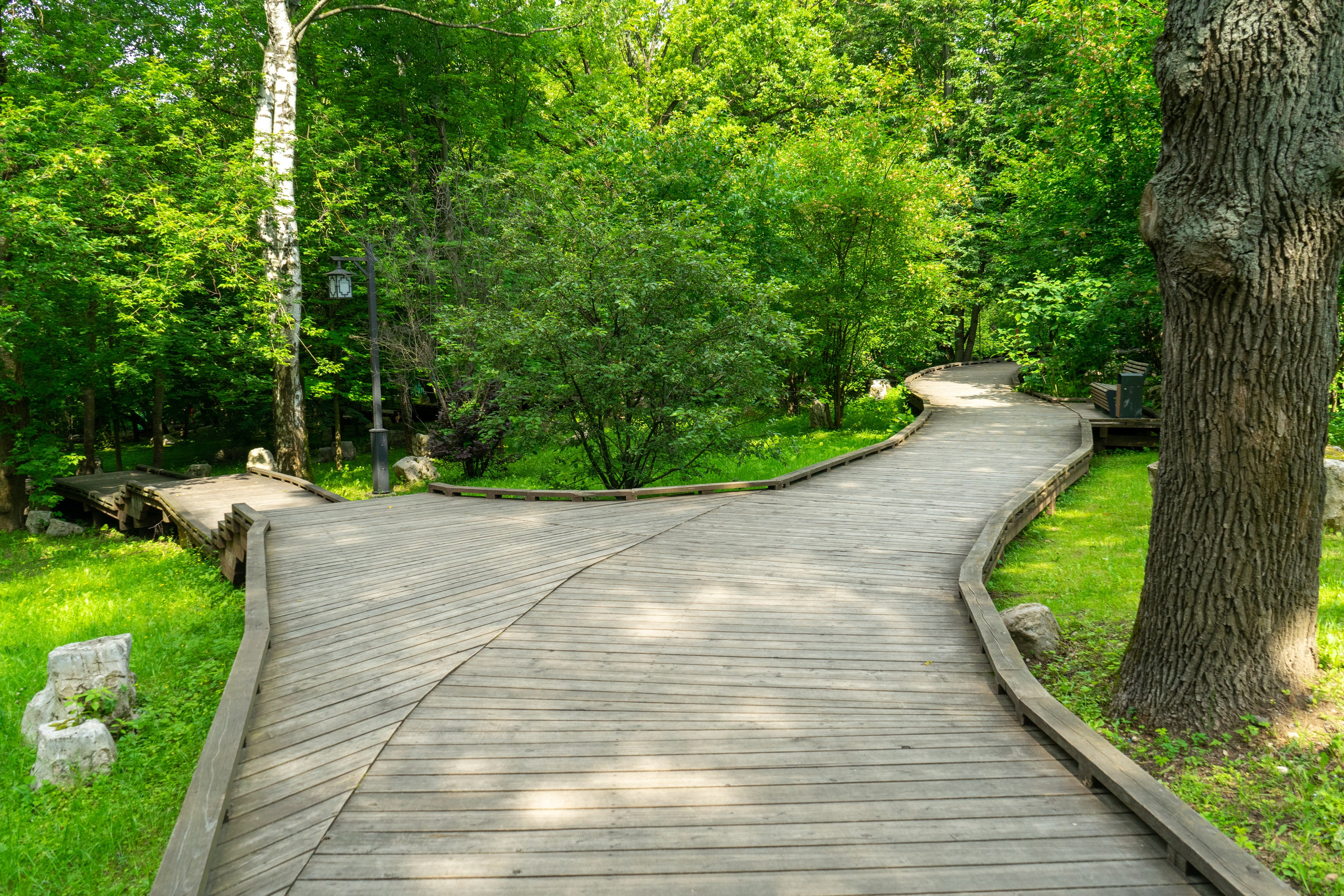 Виды парка Хуамин Москва. Авторские фотографии Чугунова Николая