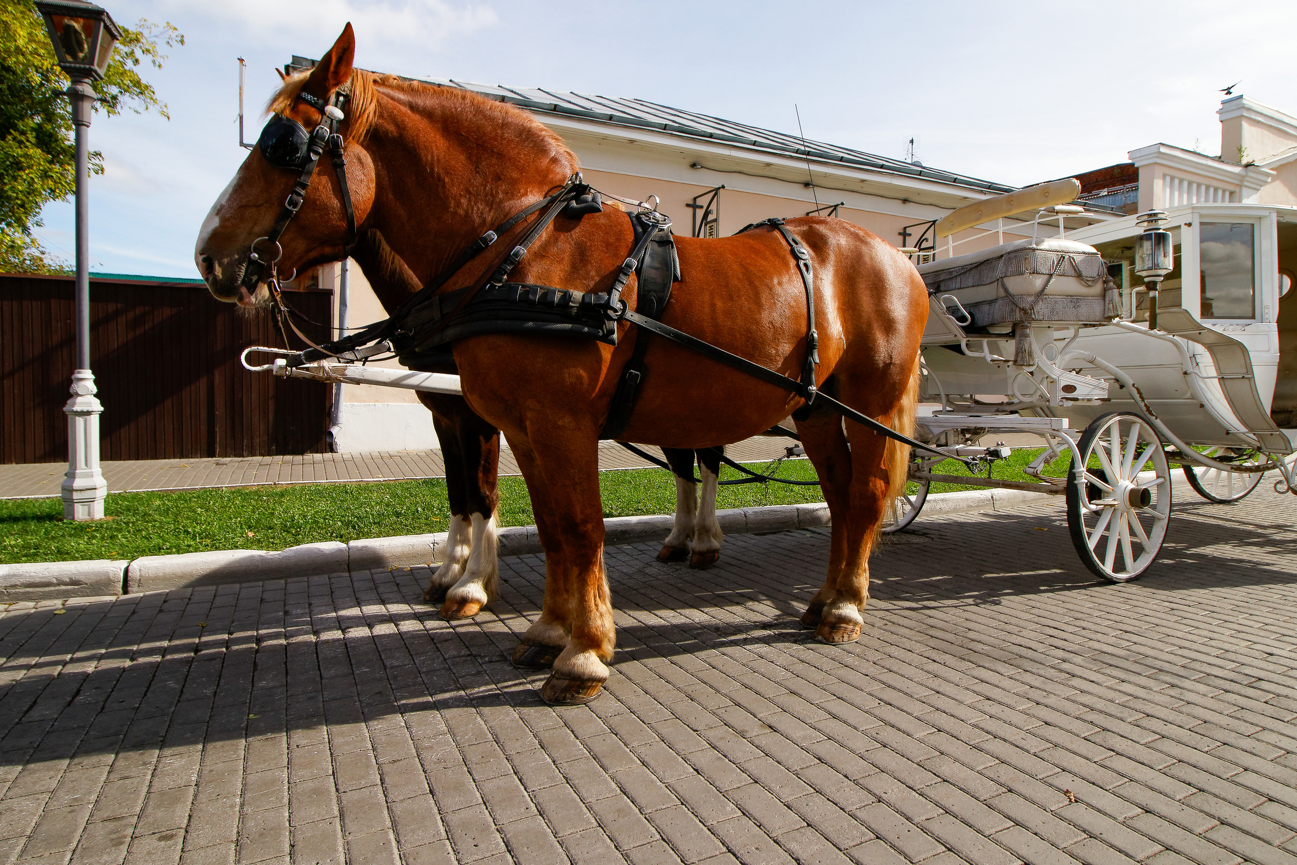 Фотограф Владимир Роля
