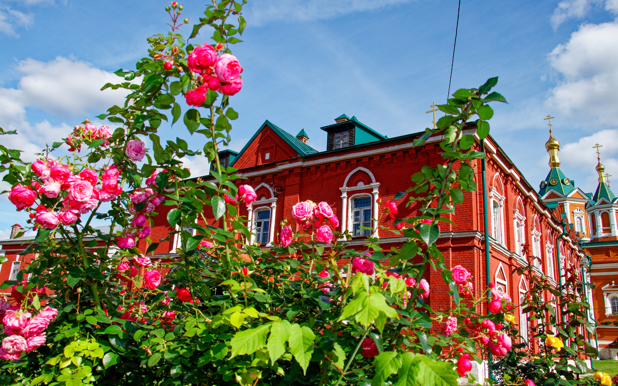 Фотограф Владимир Роля