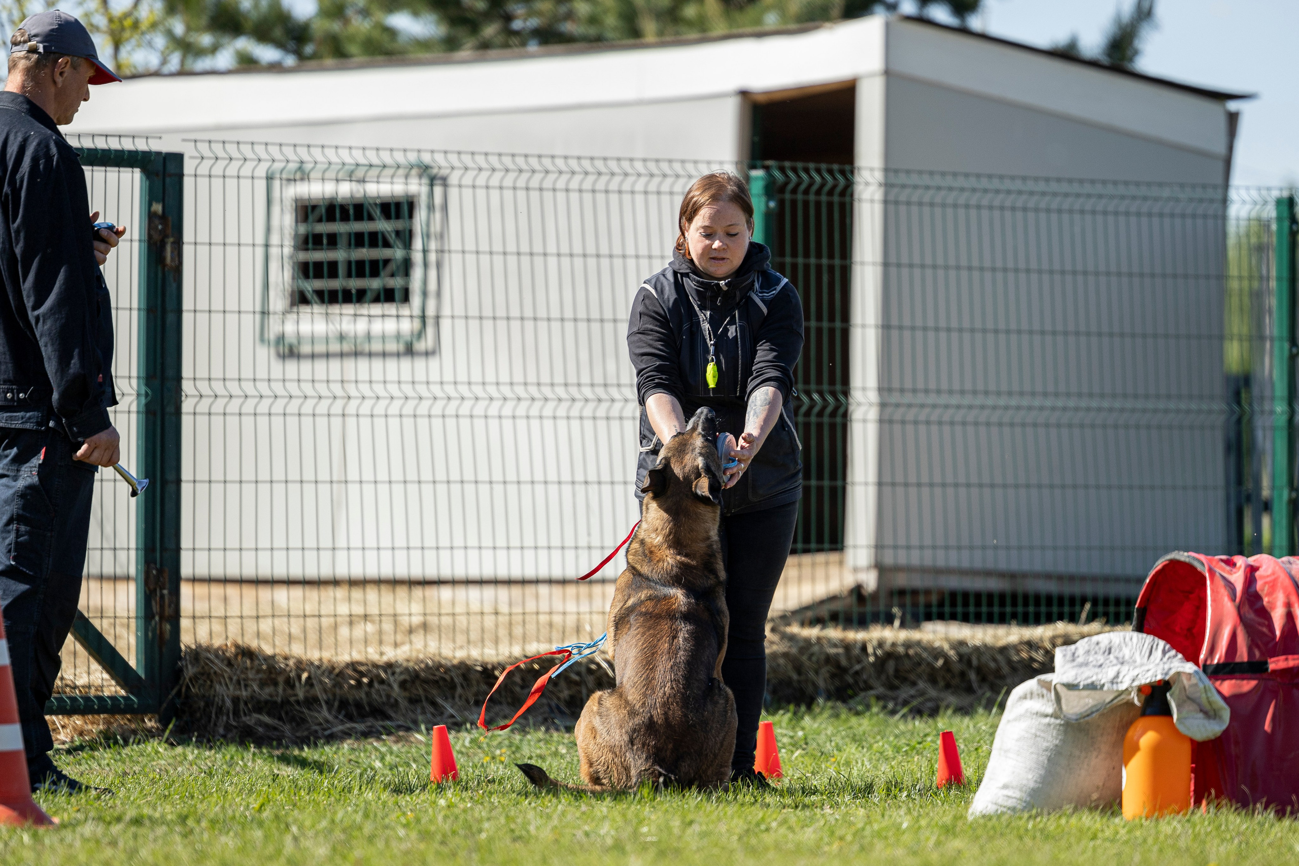 Испытания по мондьорингу в Нижнем Новгороде. Фотограф-анималист Анна Маринич