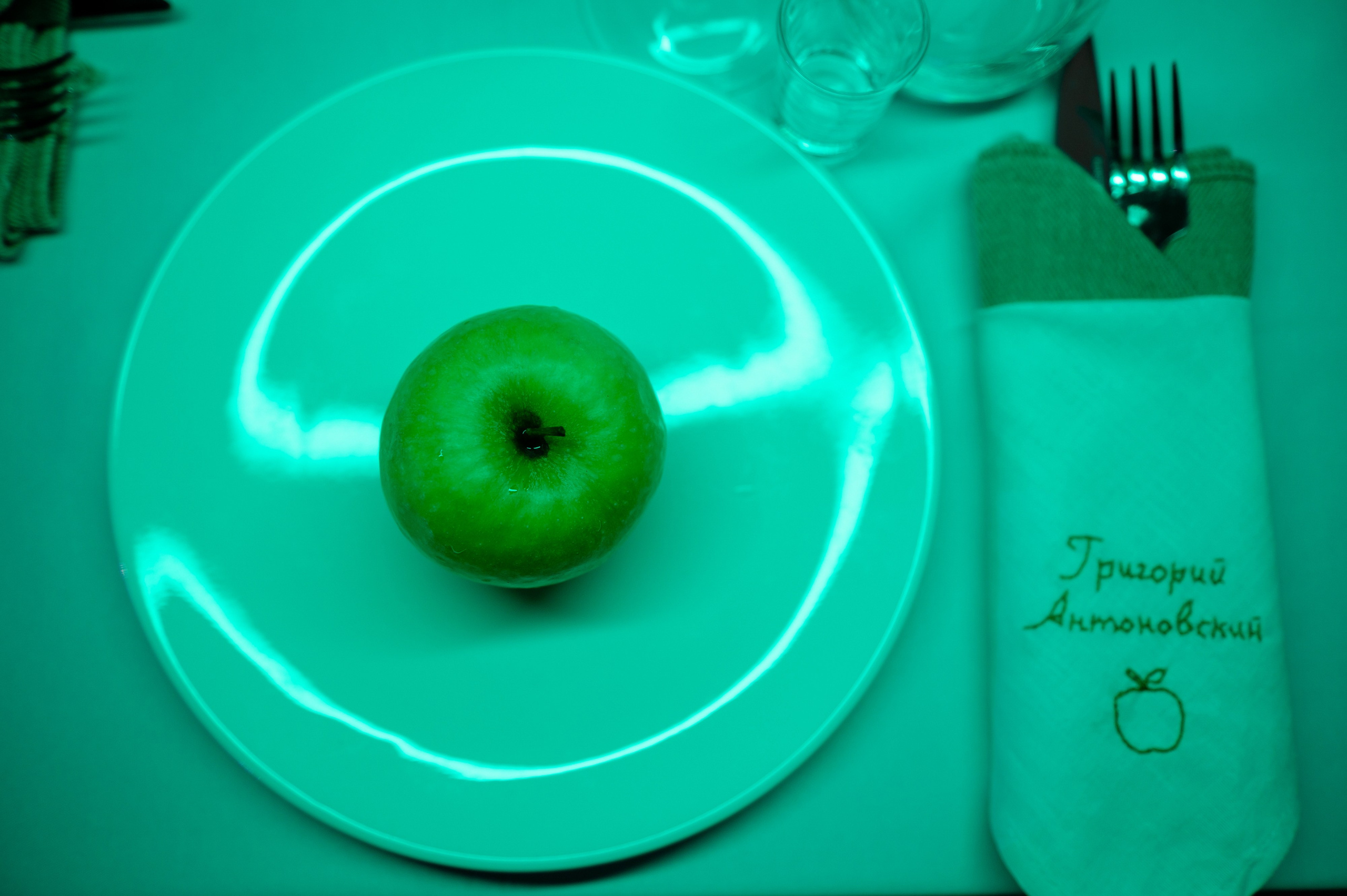 Андрей и Анастасия. Zhulanovilya