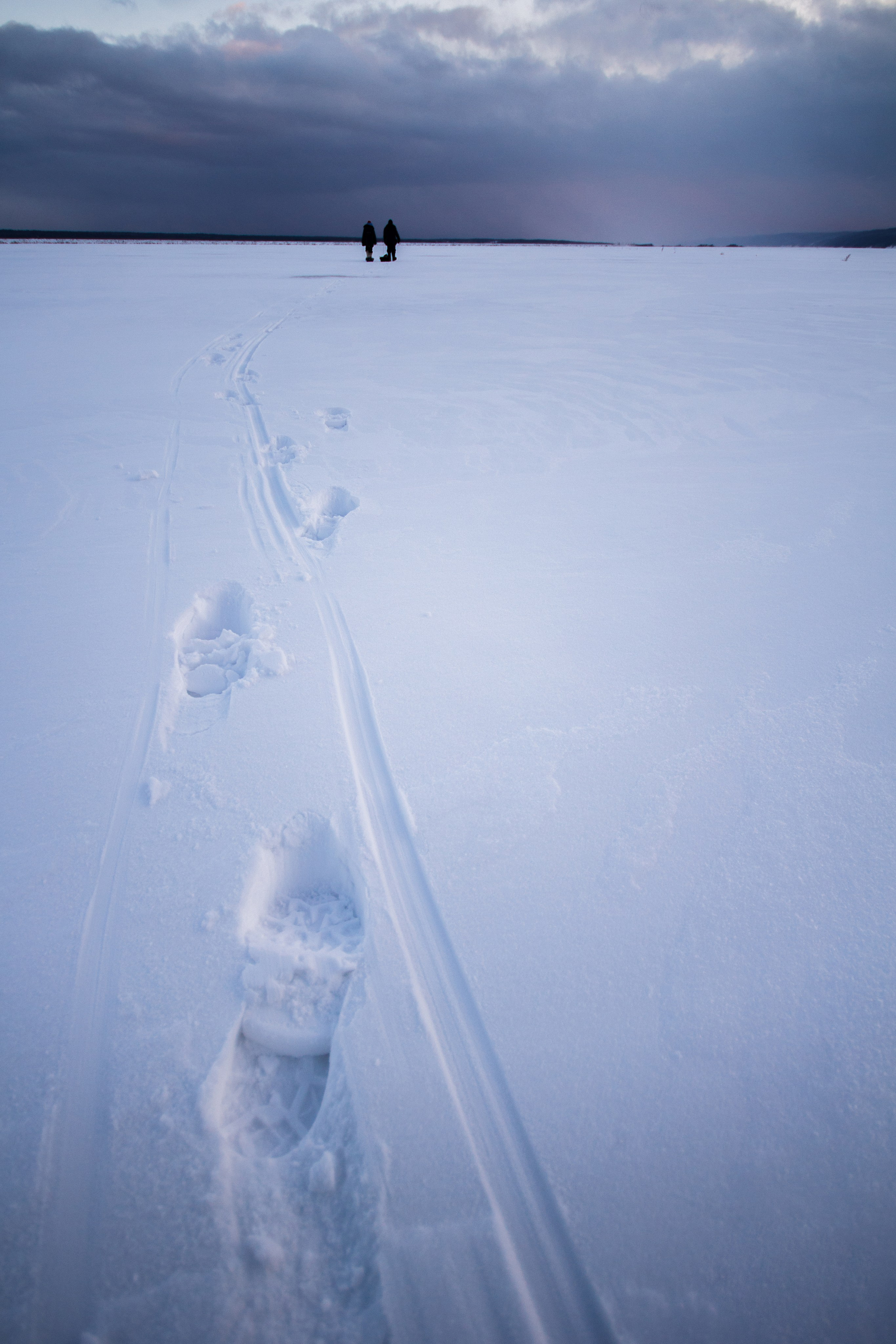 ЦВЕТНЫЕ ФОТОГРАФИИ. Никита Аничкин фото и видео оператор из России