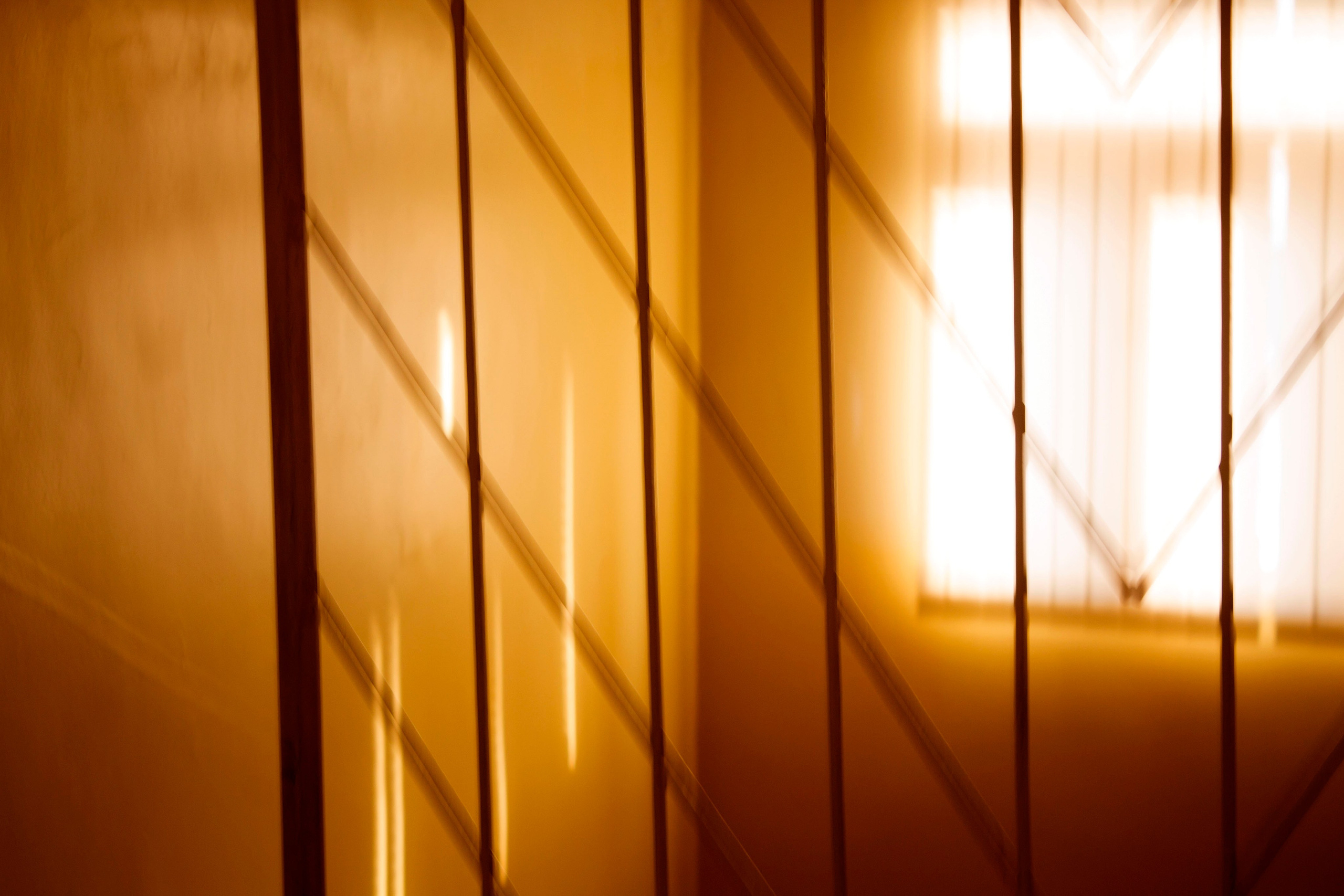 Мои первые работы. Фотограф из Москвы — DASHA NOVA | Авторская фотография в разных жанрах