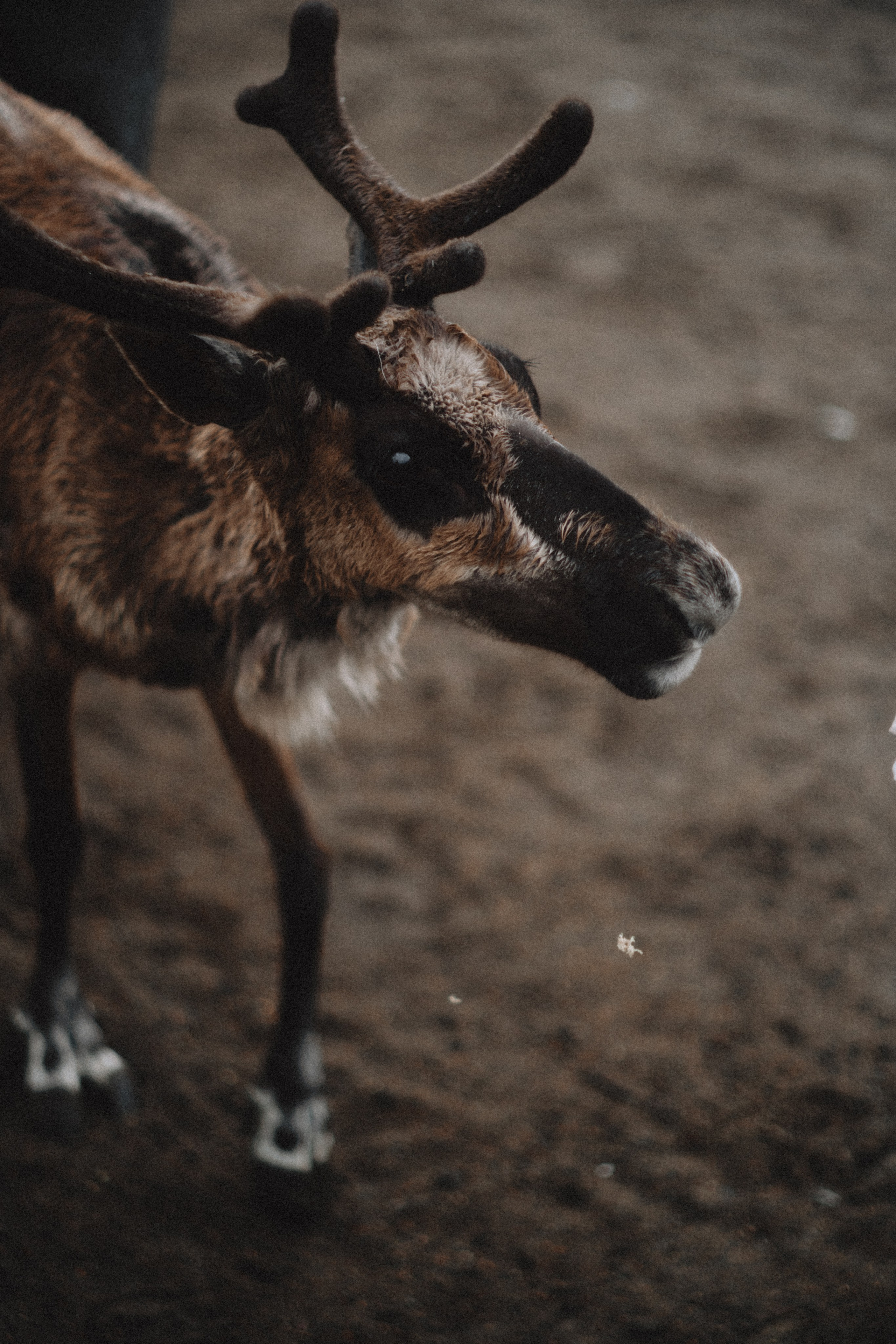 Териберка, Мурманск. Фотосъёмка для компании по организации туров в коллаборации с Яндекс 360