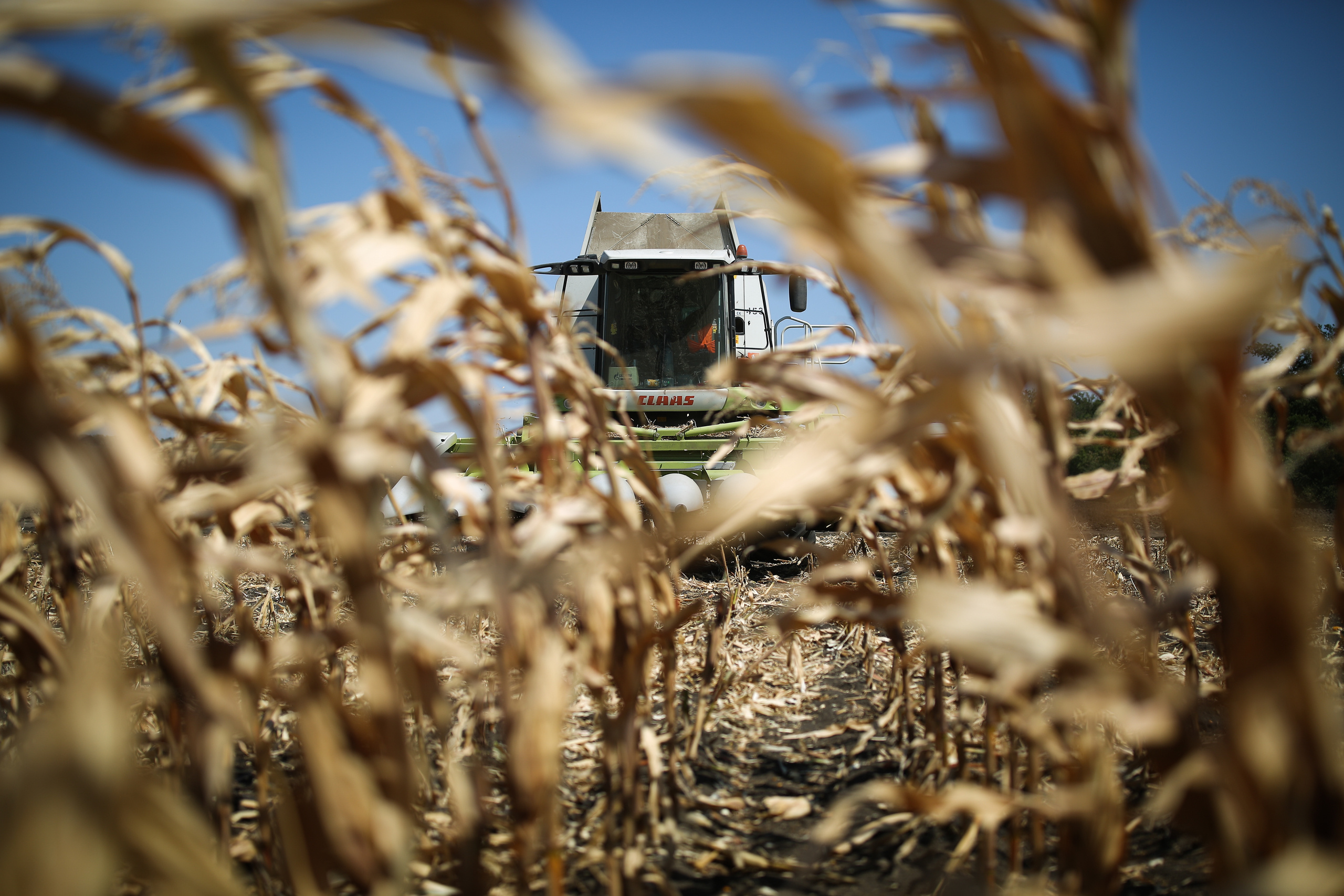 Агро. Тимкив Виталий репортажный фотограф в Краснодаре