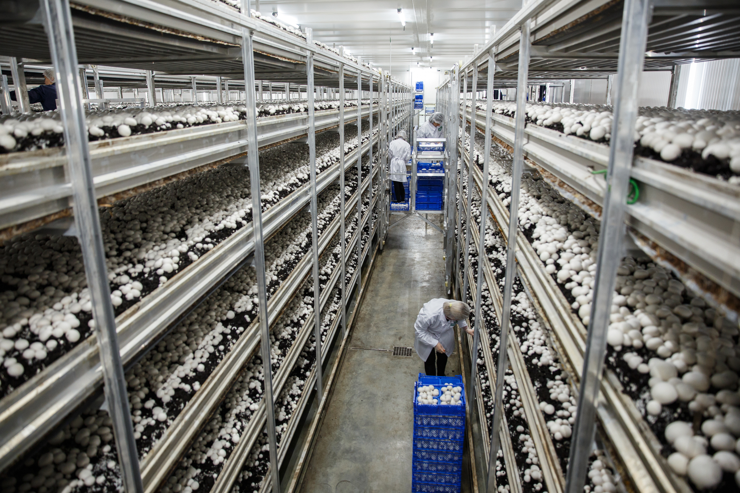 Агро. Тимкив Виталий репортажный фотограф в Краснодаре