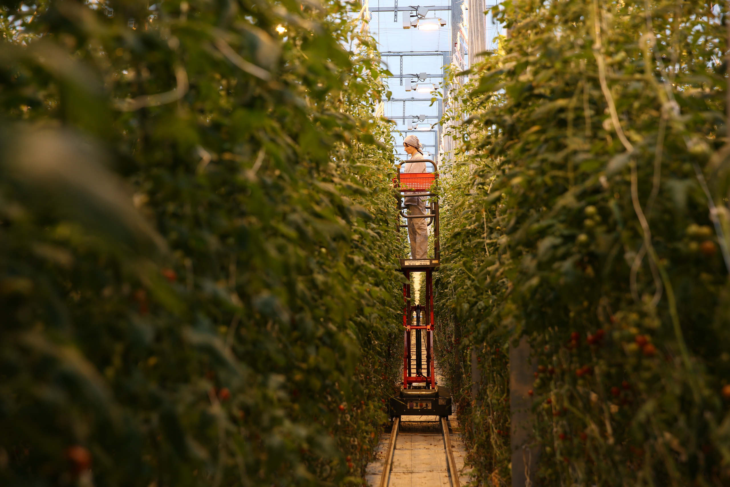 Агро. Тимкив Виталий репортажный фотограф в Краснодаре