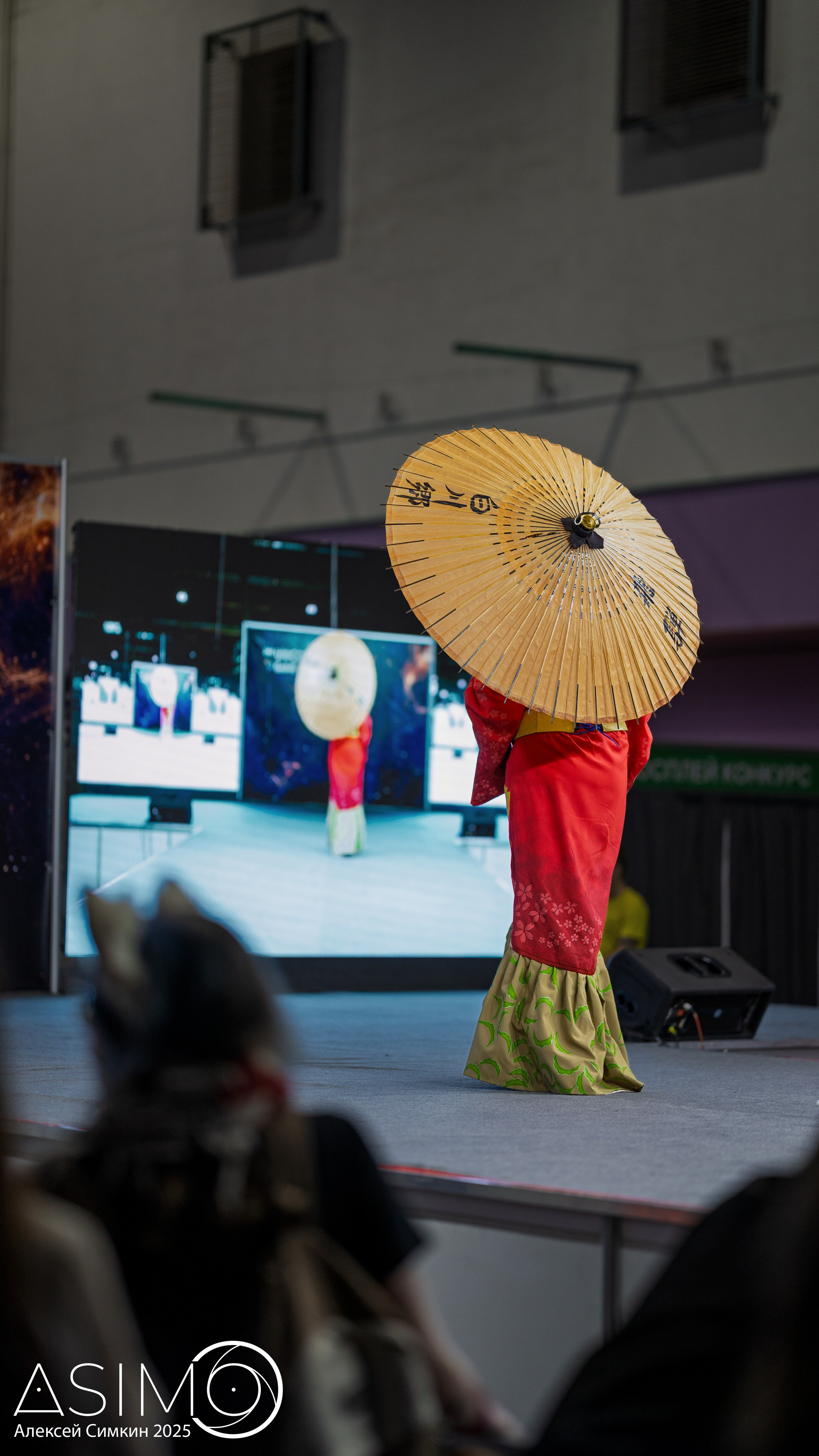 Unicon & GameExpo Minsk. Арт и семейный фотограф/видеограф Алексей Симкин