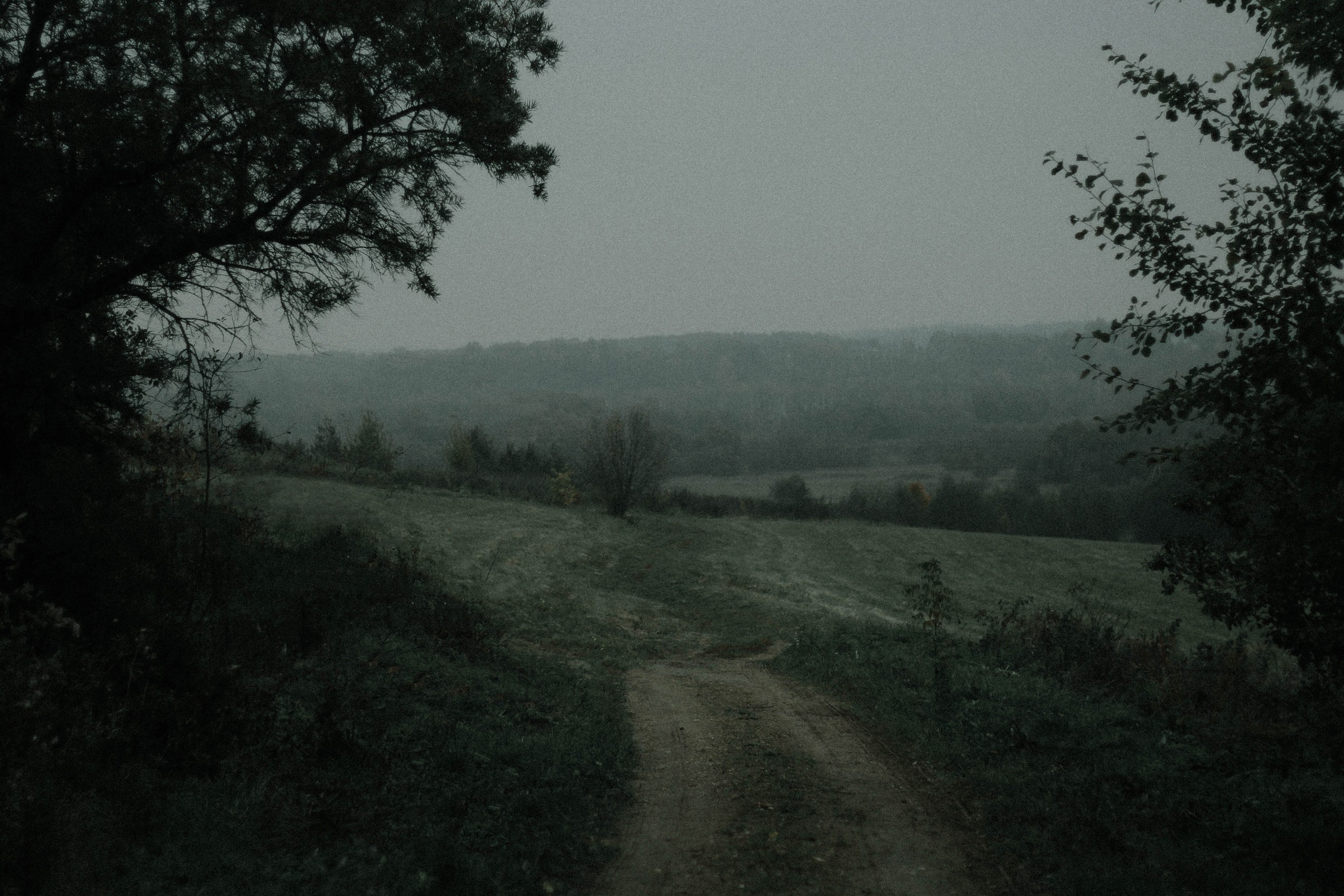 Ольга Венгель. Фотограф, режиссёр, художник Аполлинария Лиманская