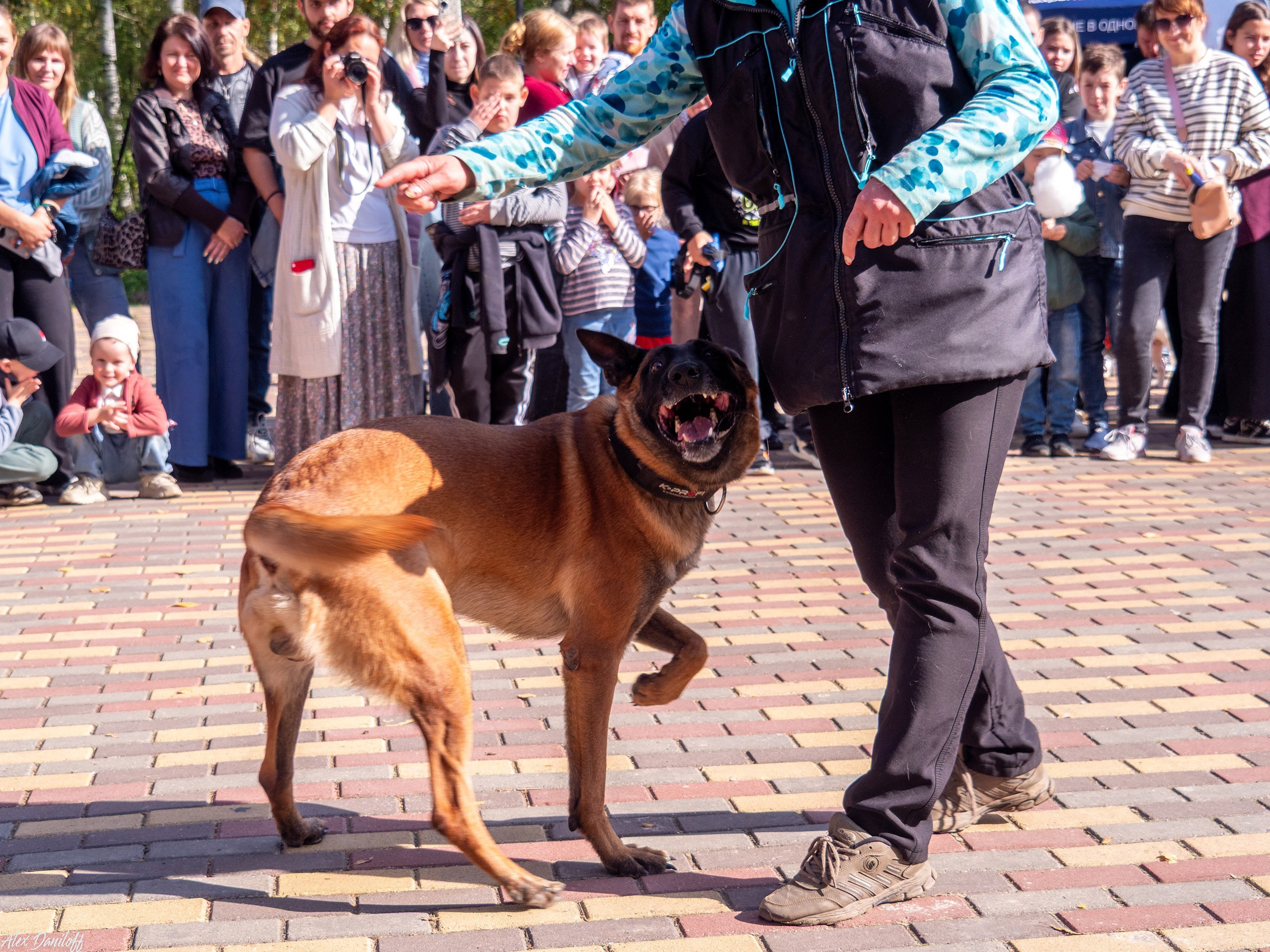 Обнимака 2025. Муром-Инфо. Новости культуры, образования, спорта в городе Муром