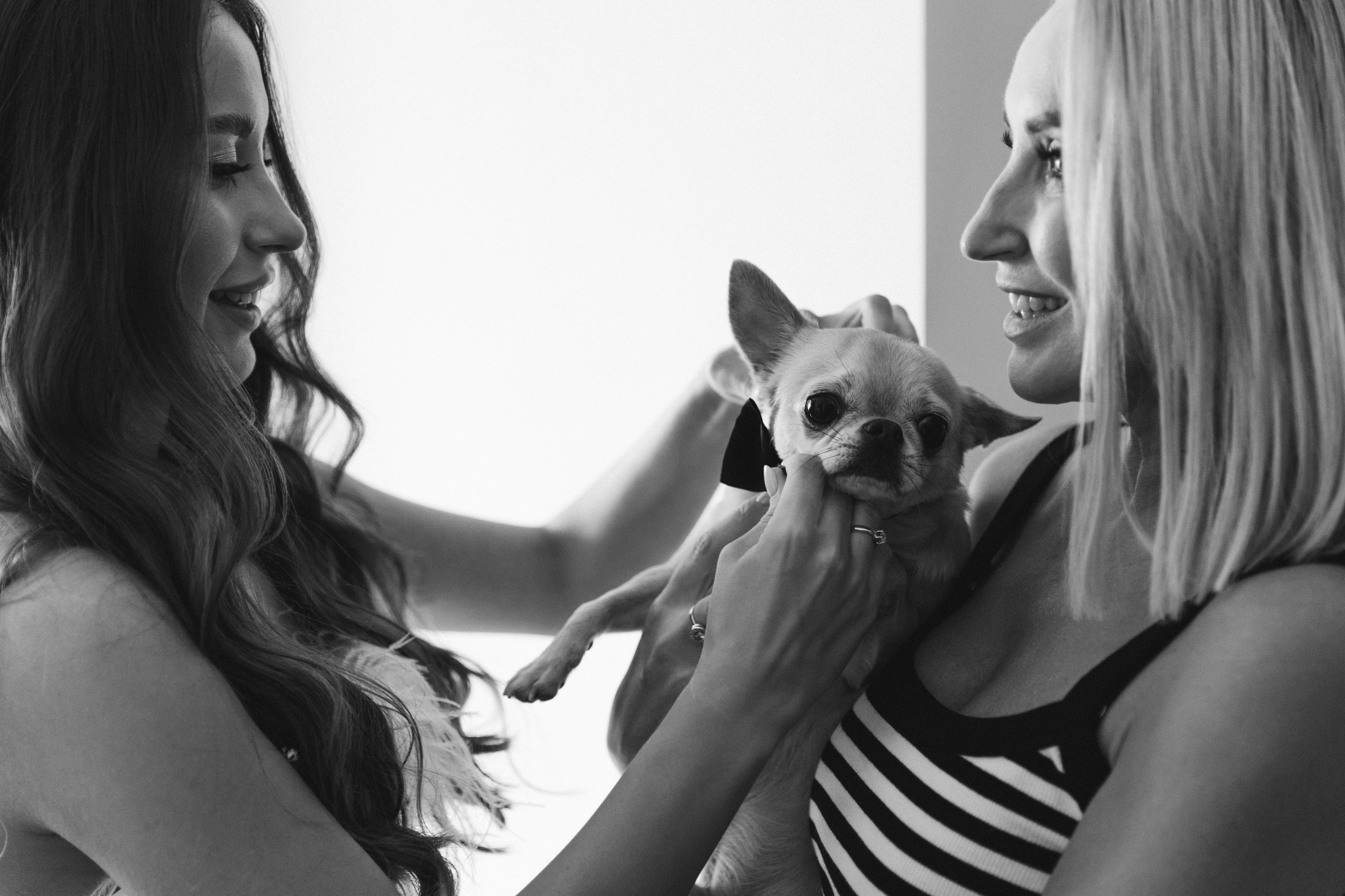 NIKITA & POLINA. Фотограф | Кострома | Ксения Пучкова