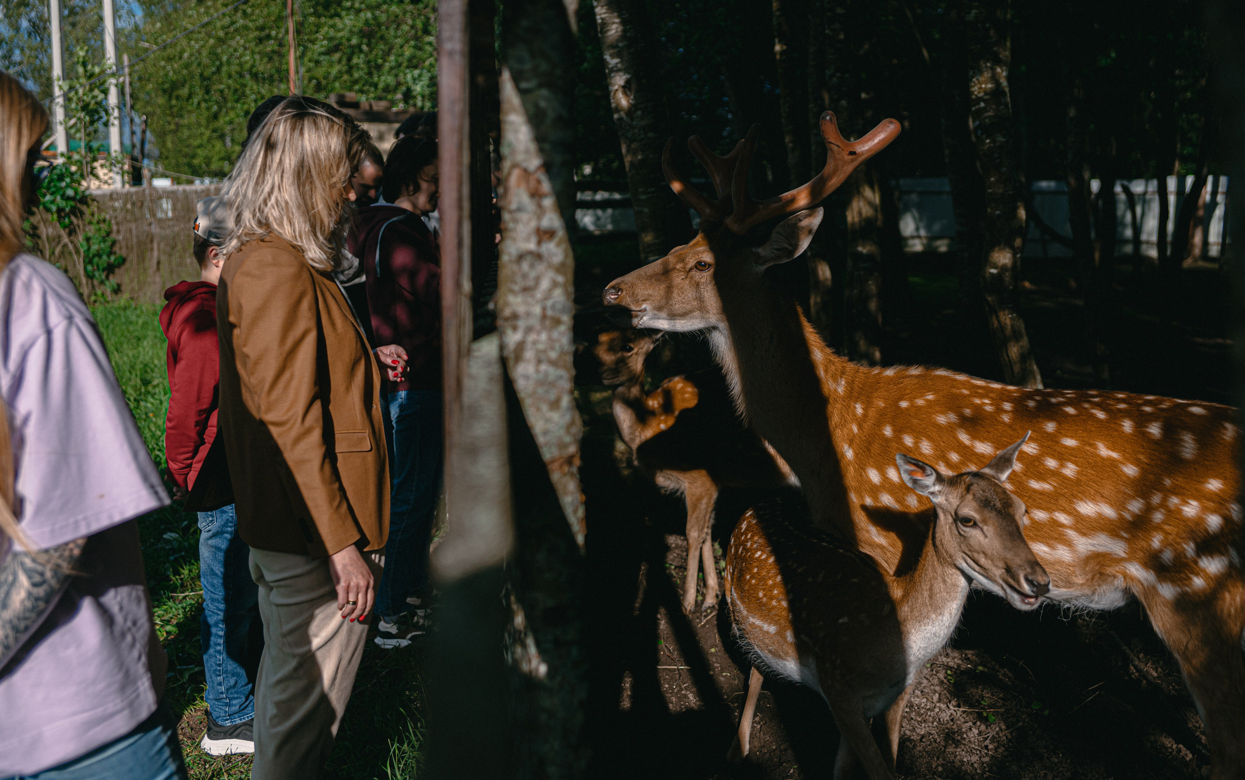 Land Rover Trip-9. Жуков Илья  свадебный фотограф в Москве