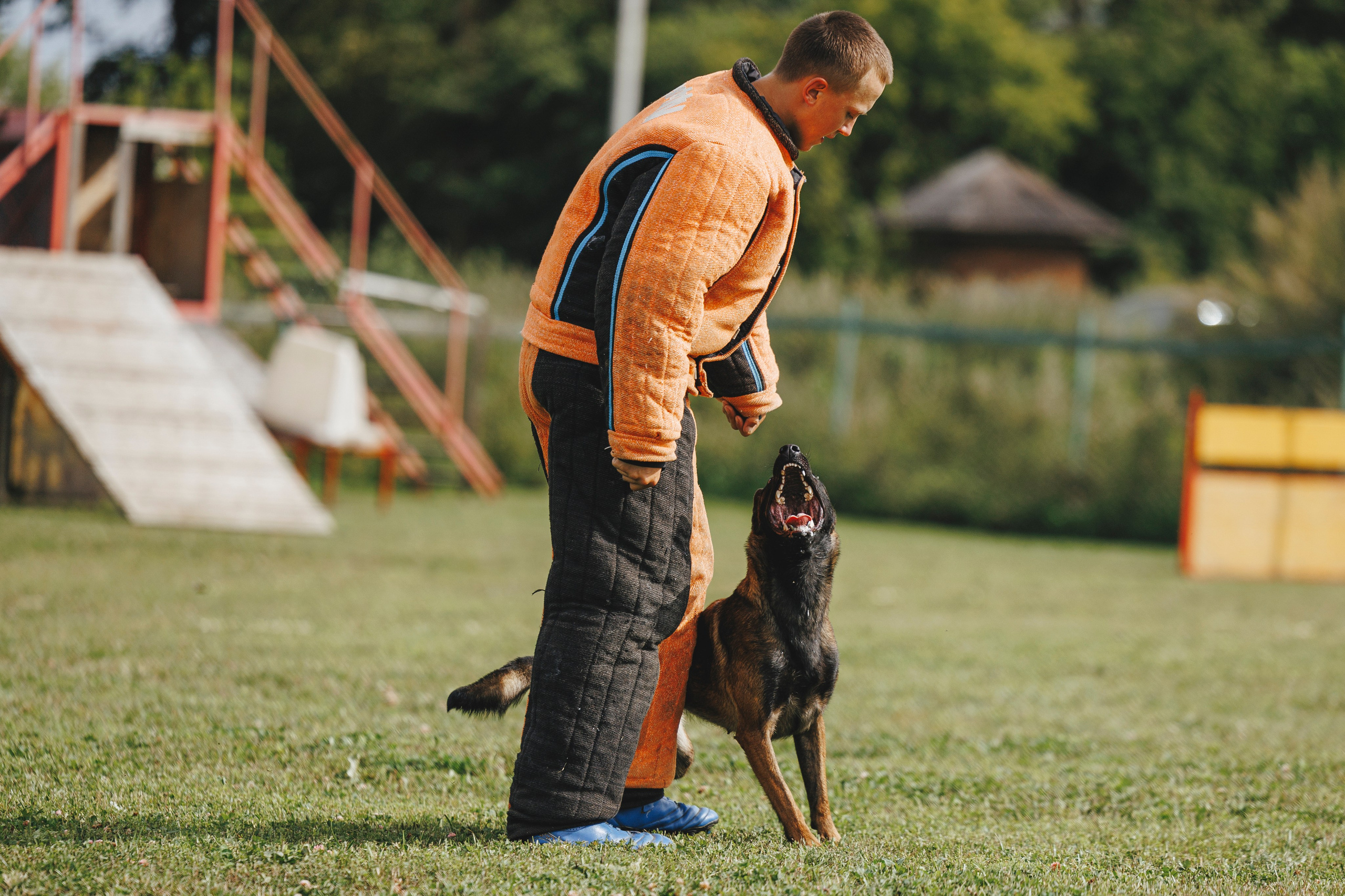 08.08.25-10.08.25 ЧР по мондьорингу г. Вологда. Фотограф-анималист Анна Маринич