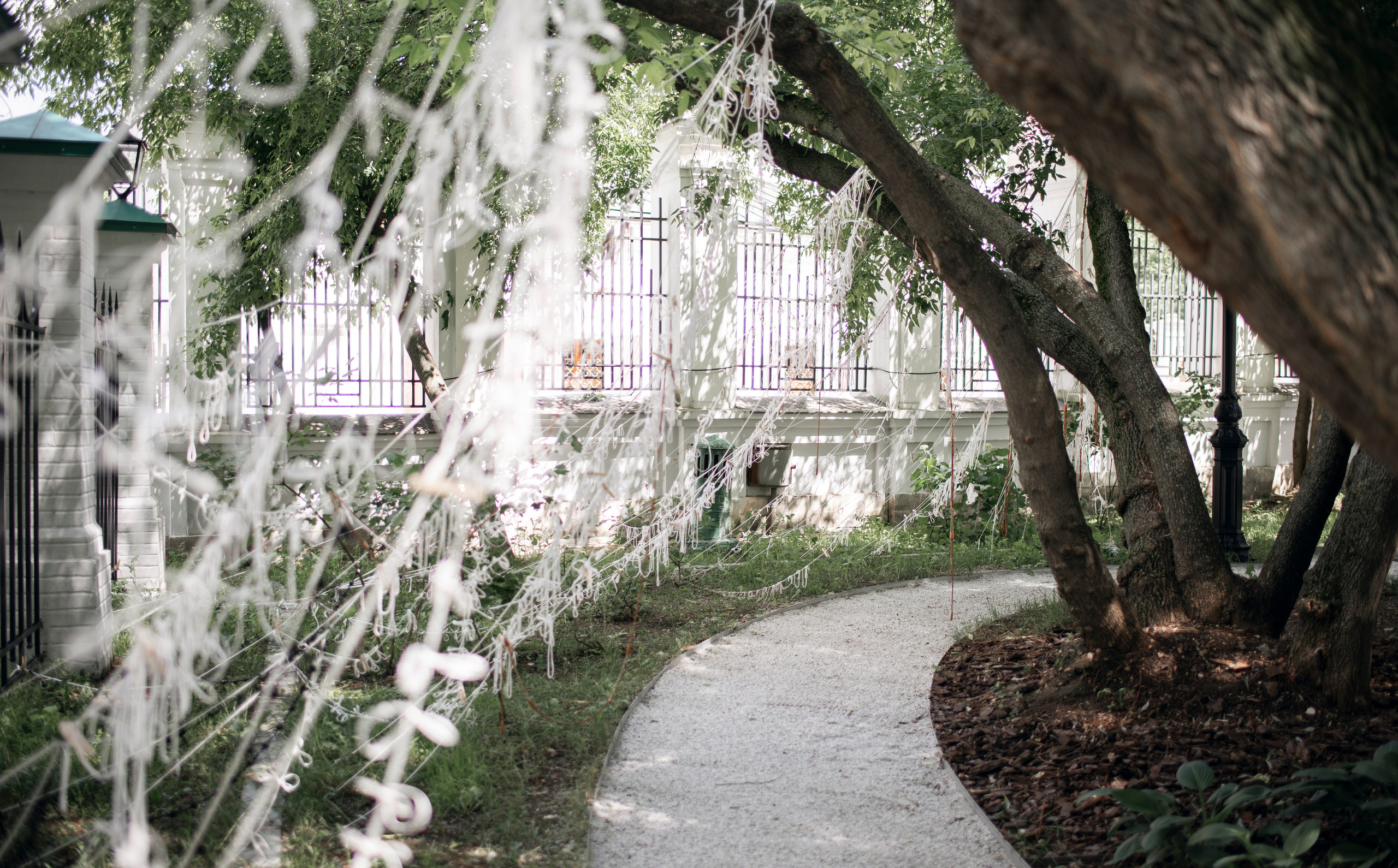 Выставка в доме Третьяковых. Фотограф в Москве Алейникова Евгения