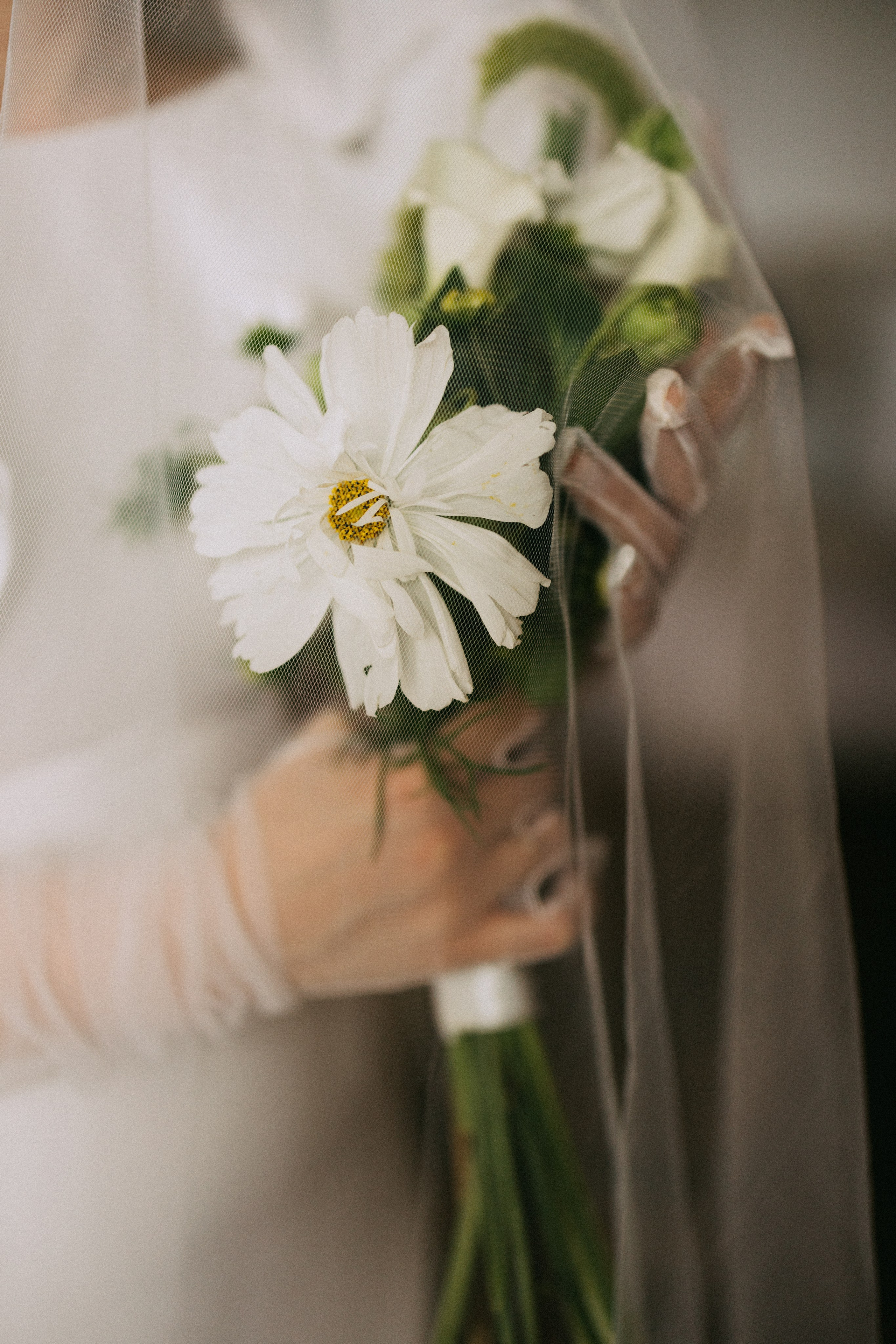 Настя и Денис. Daria Chigintseva Photographer