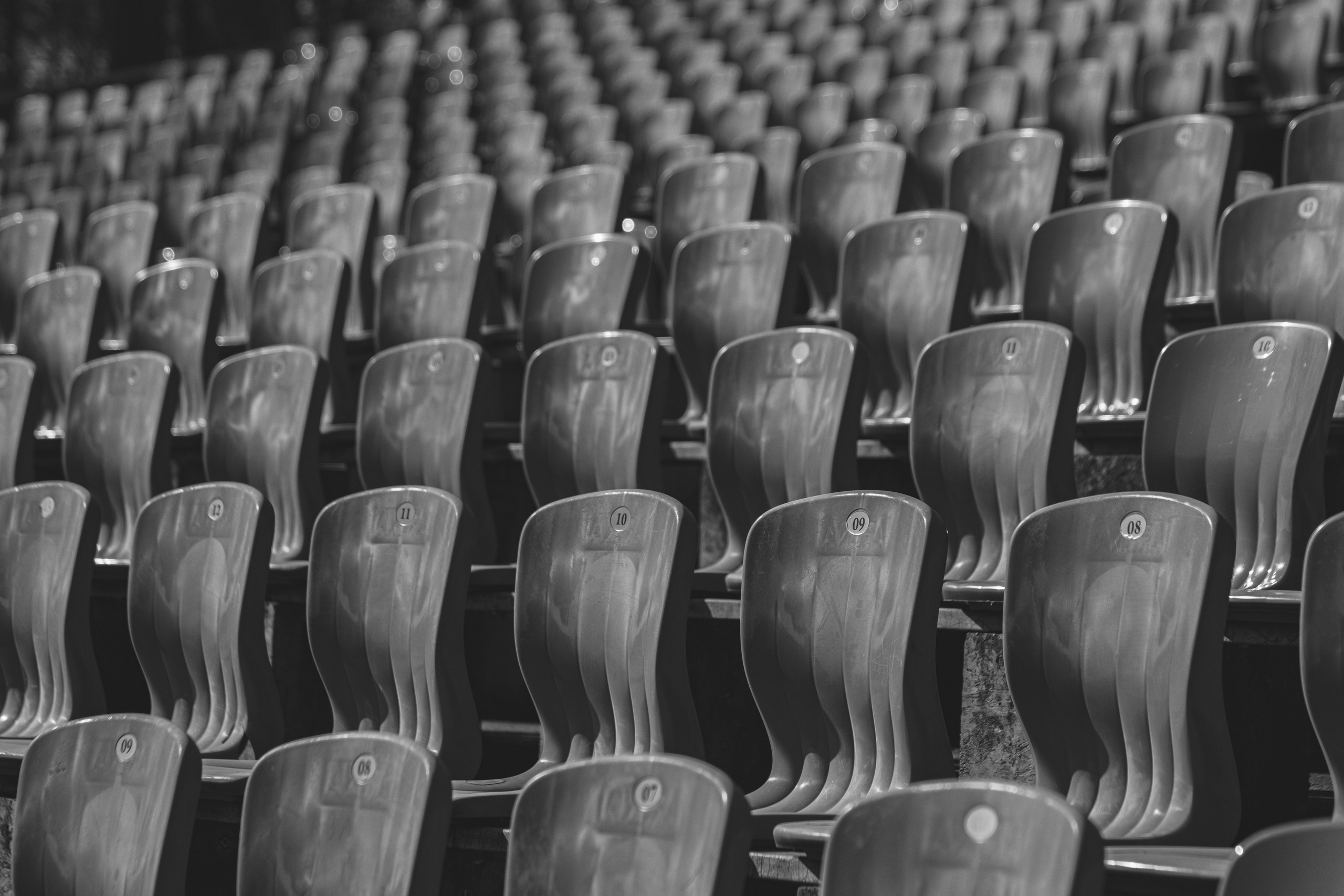 Ч \ Б. — Digital Noise —