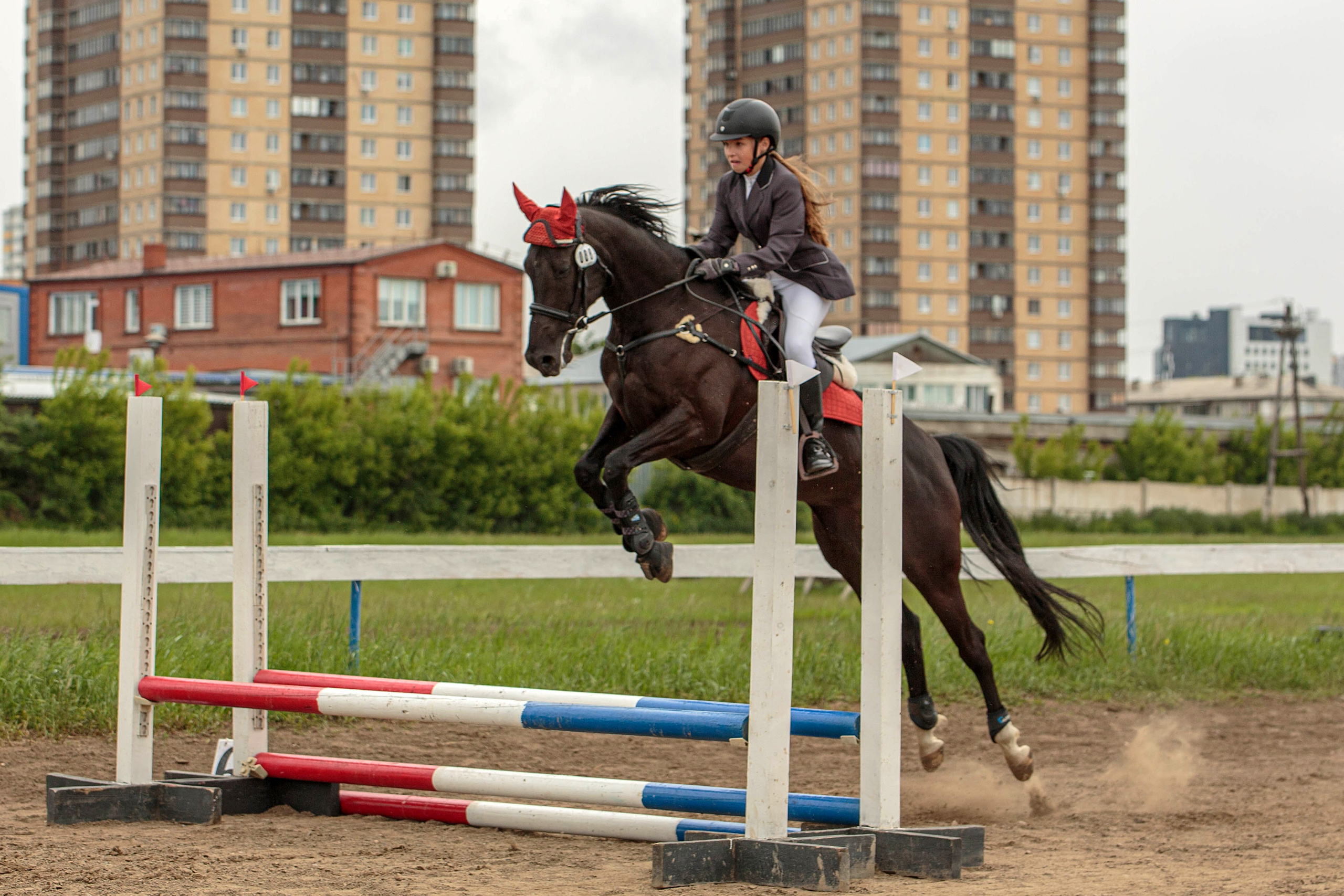 2024. Конный фотограф в Красноярске — Любовь Похабова