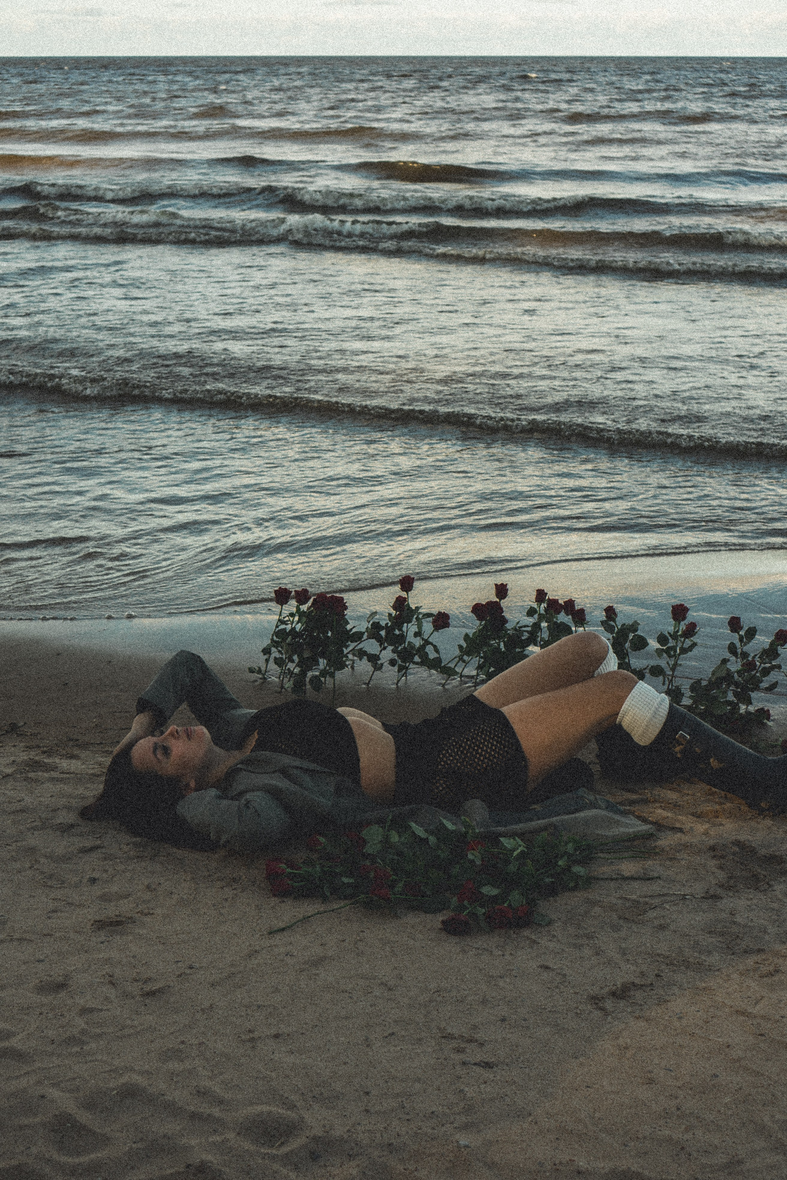 Розы. Профессиональный фотограф, Санкт-Петербург — Виктория Богомолова