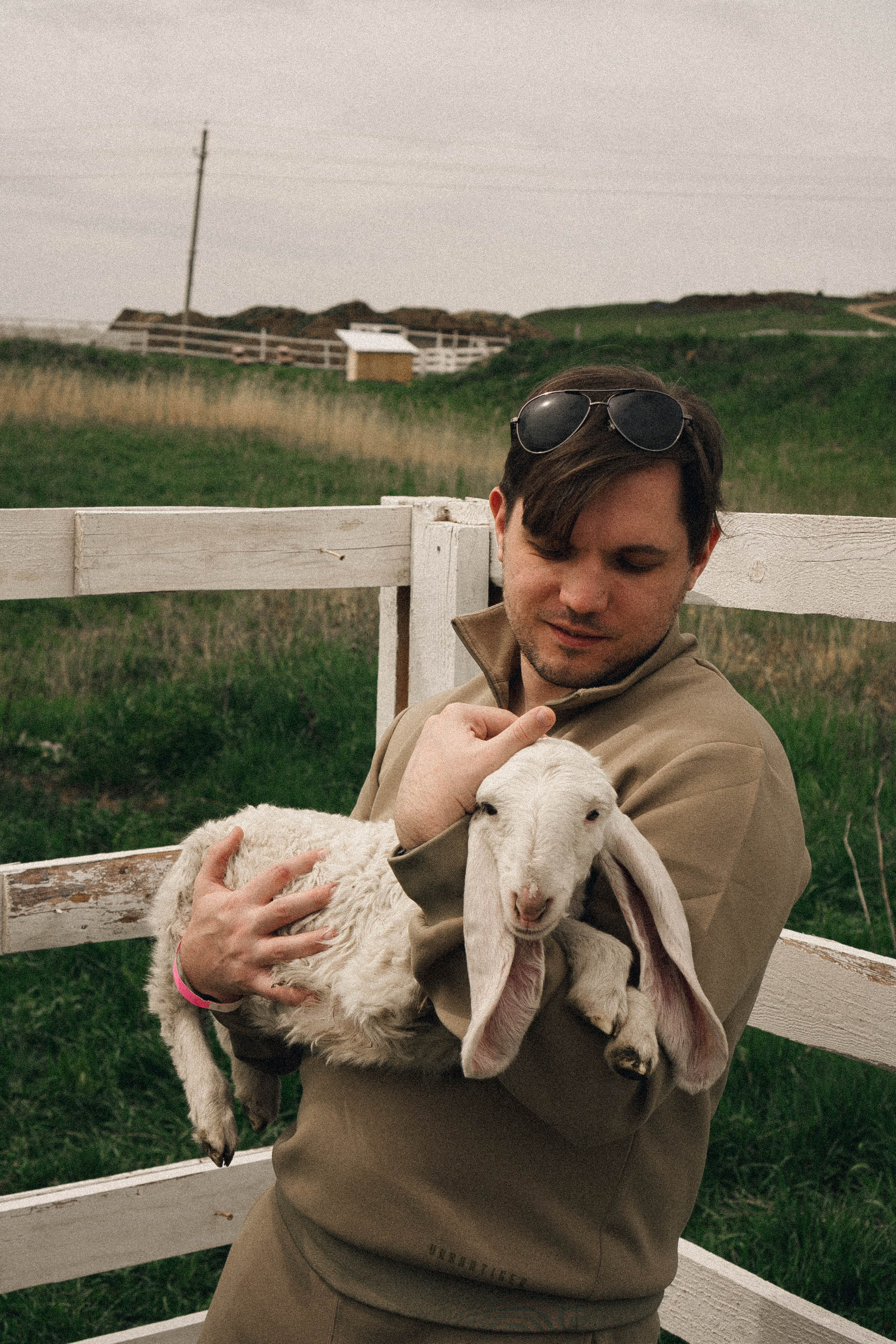 Ферма Альпак. Профессиональный фотограф, Санкт-Петербург — Виктория Богомолова