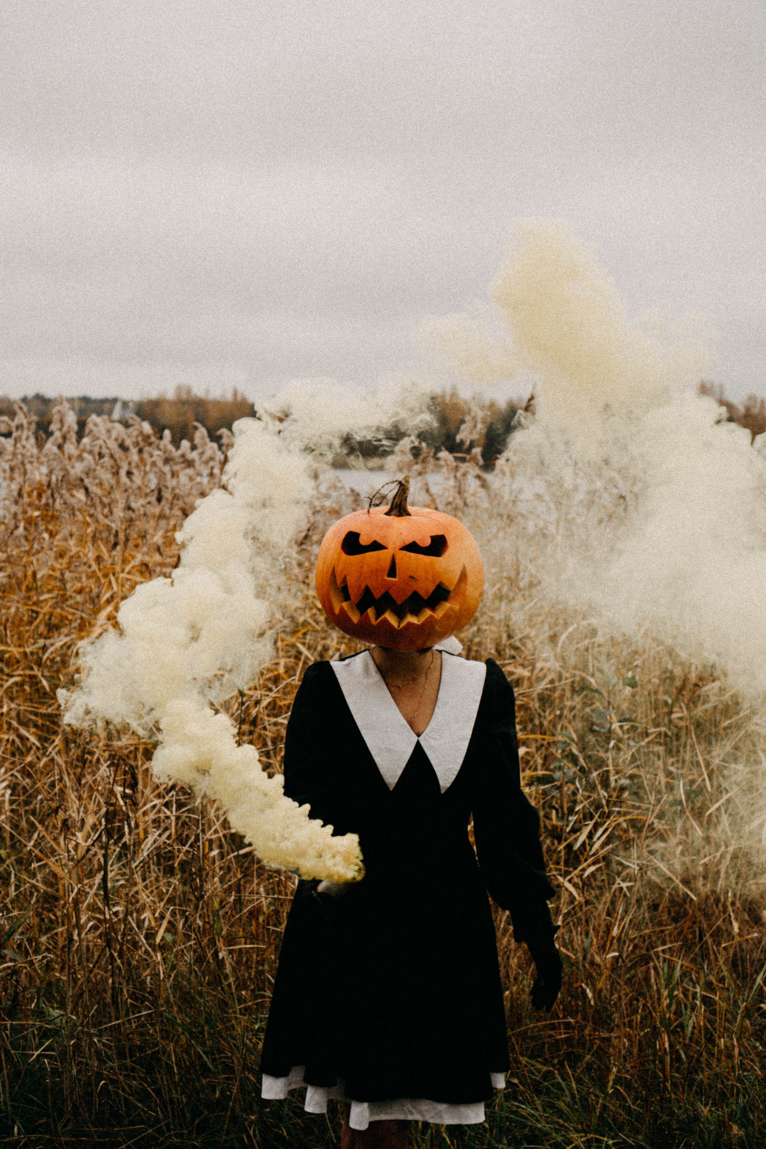 Осеняя. Профессиональный фотограф, Санкт-Петербург — Виктория Богомолова