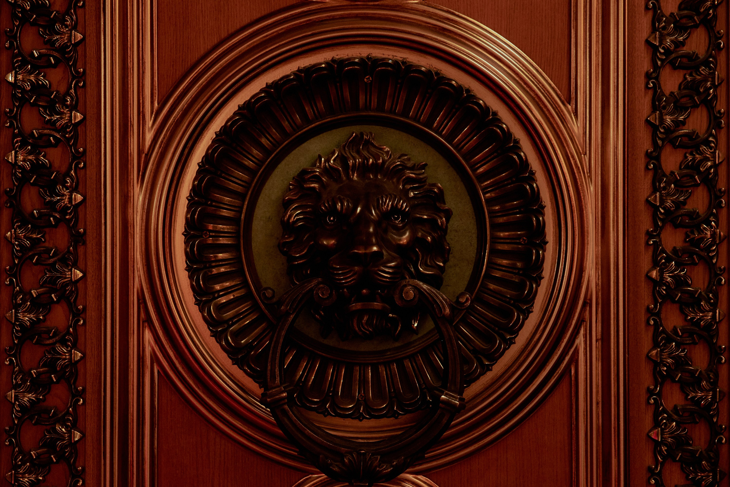 STK 10 YEARS. Дмитрий Мазуркевич: Профессиональный Репортажный Фотограф