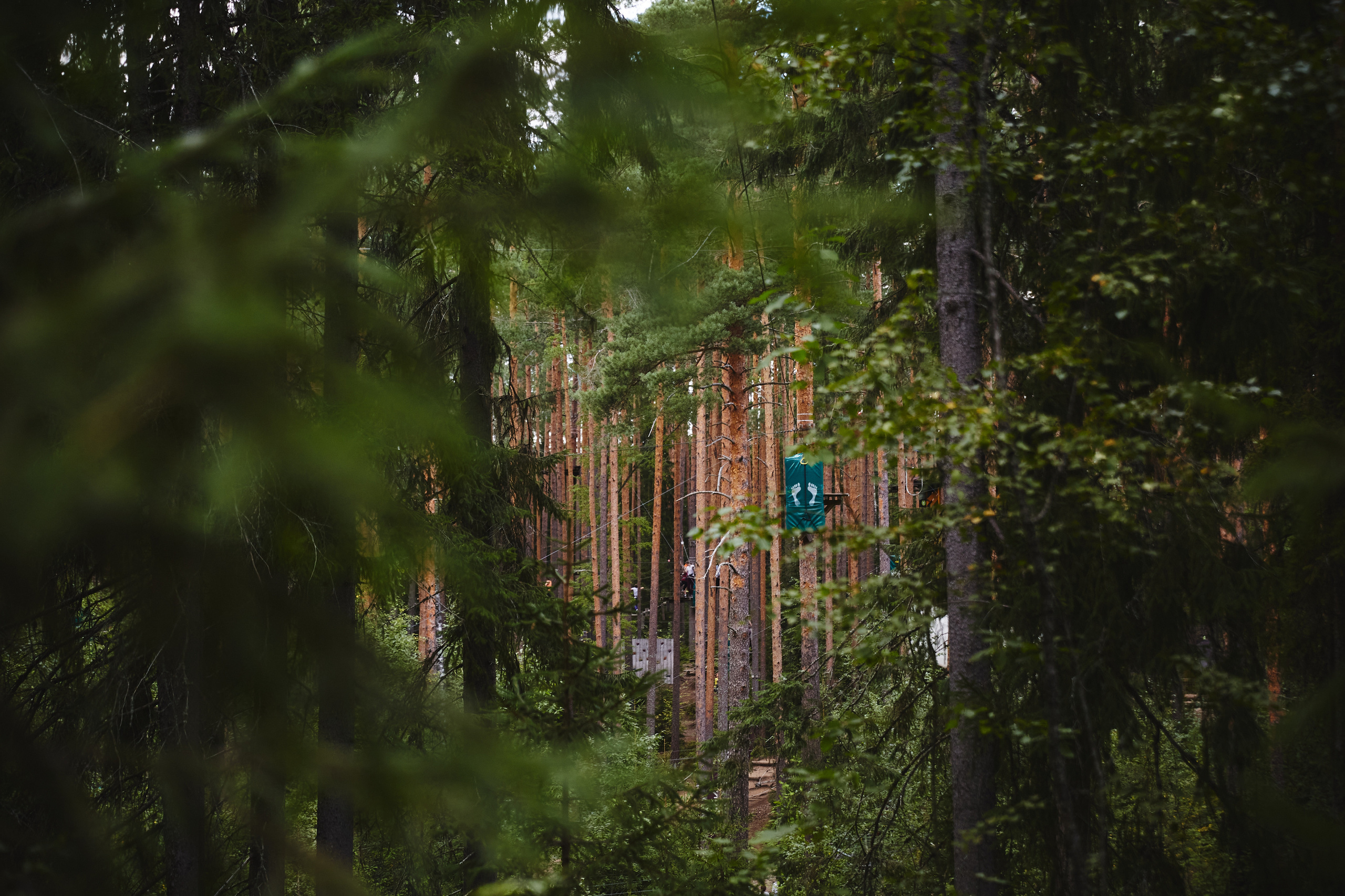 ТимБилдинг компании InfoBip. КонТайм: профессиональная съемка для организаций