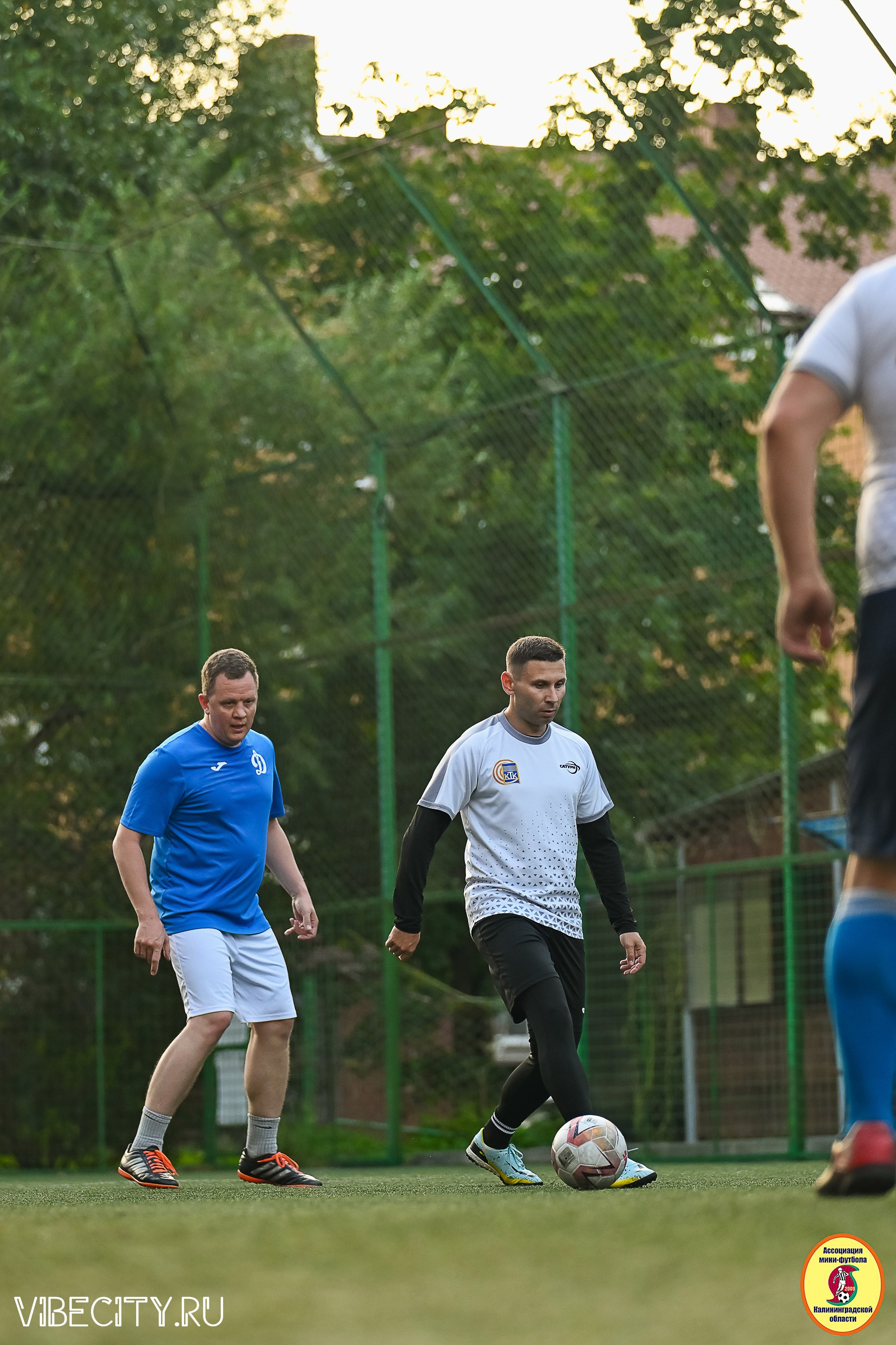 ИГРЫ ПЛЕЙ-ОФФ ПЕРВОГО ДИВИЗИОНА МИНИ-ФУТБОЛЬНОЙ ЛИГИ. VIBECITY.RU Вайб Сити Ру Фоторепортажи Фотоотчеты Калининград