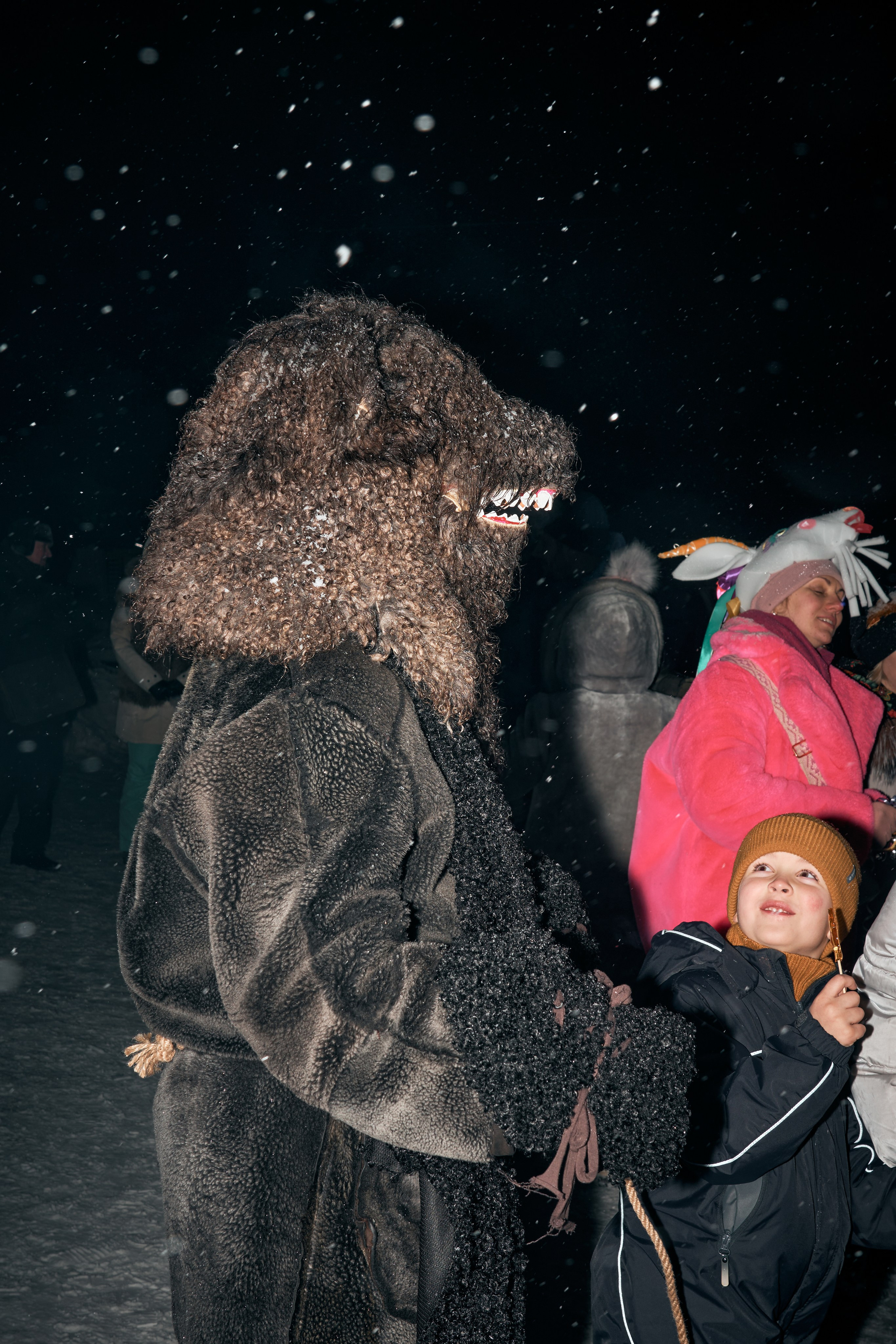 С медведем по соседям. Фотограф
