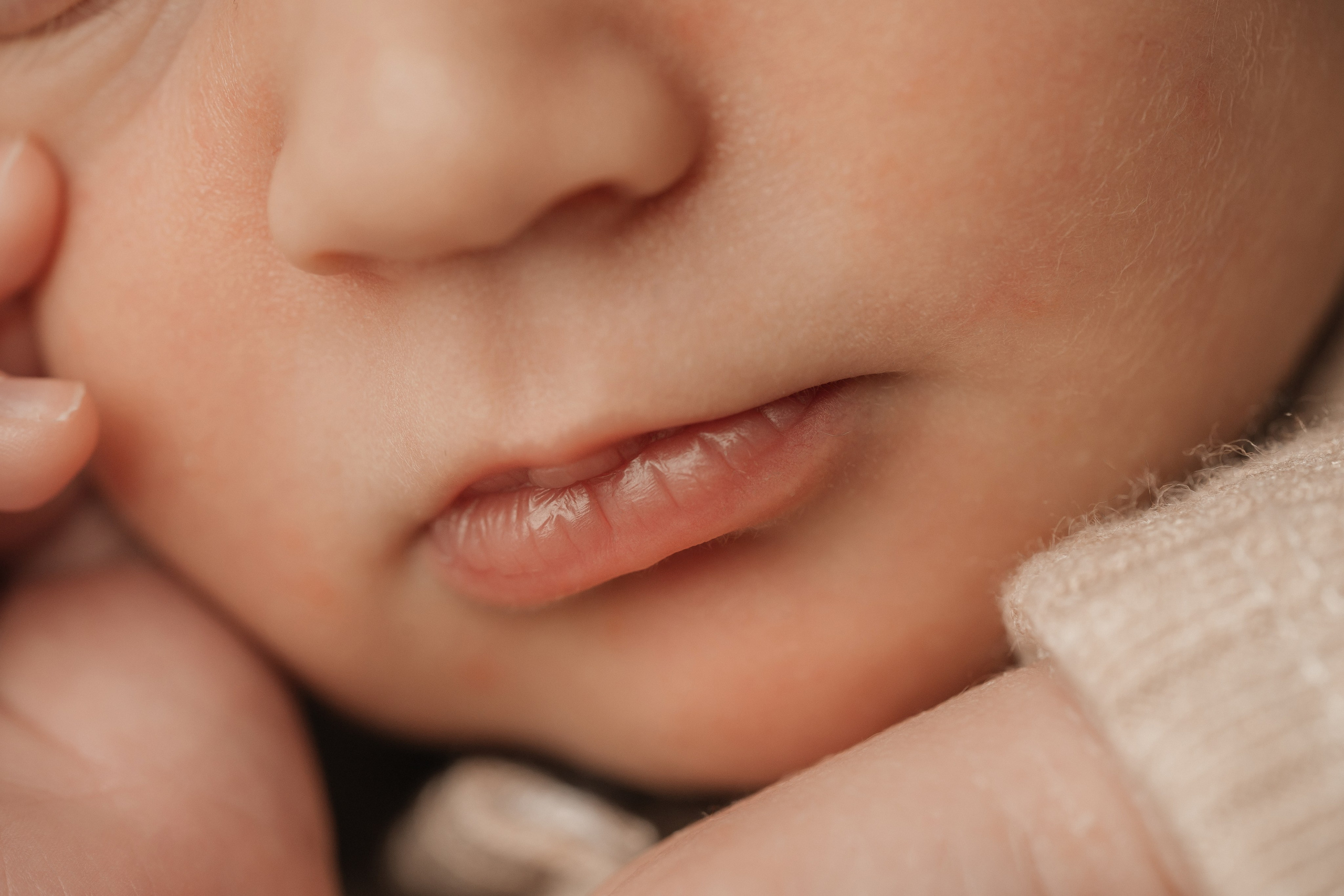 Newborn. Фотограф новорожденных в Москве, Зеленограде, МО, Дмитриева Дарья