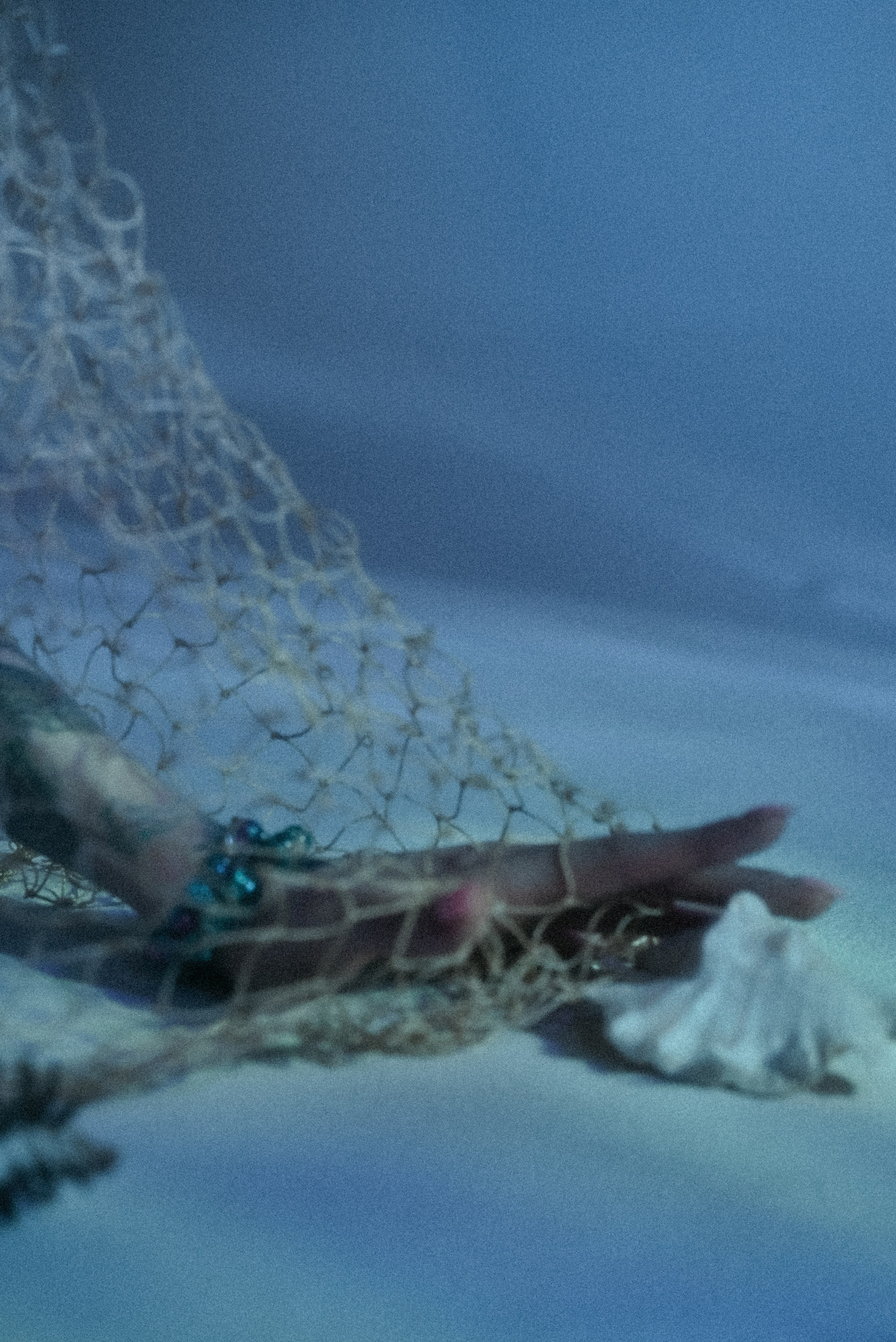 Ariel. Ваш фотограф