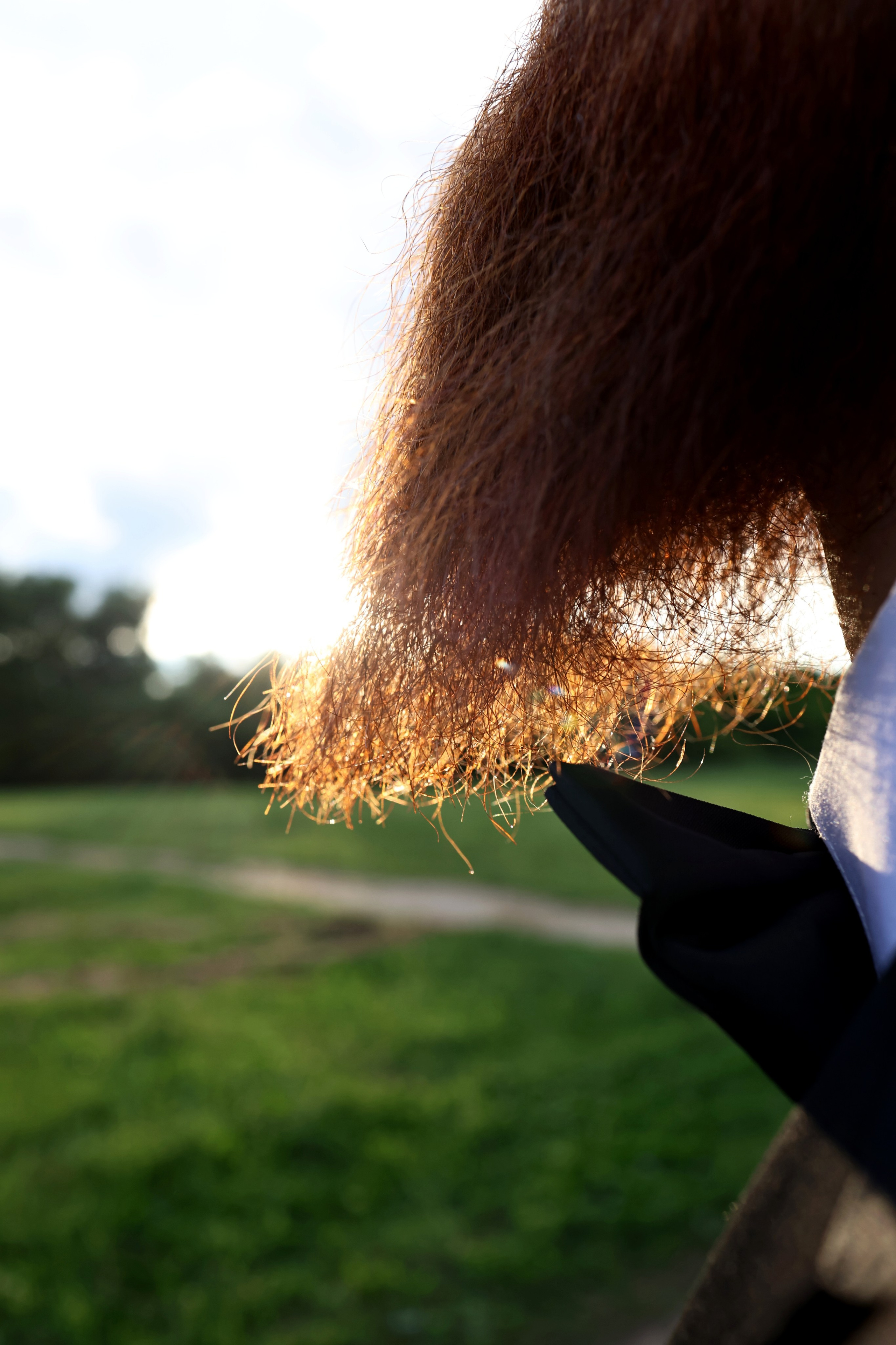 Валерия и Николай. Свадебный и семейный фотограф в Воронеже Ксения Воротникова