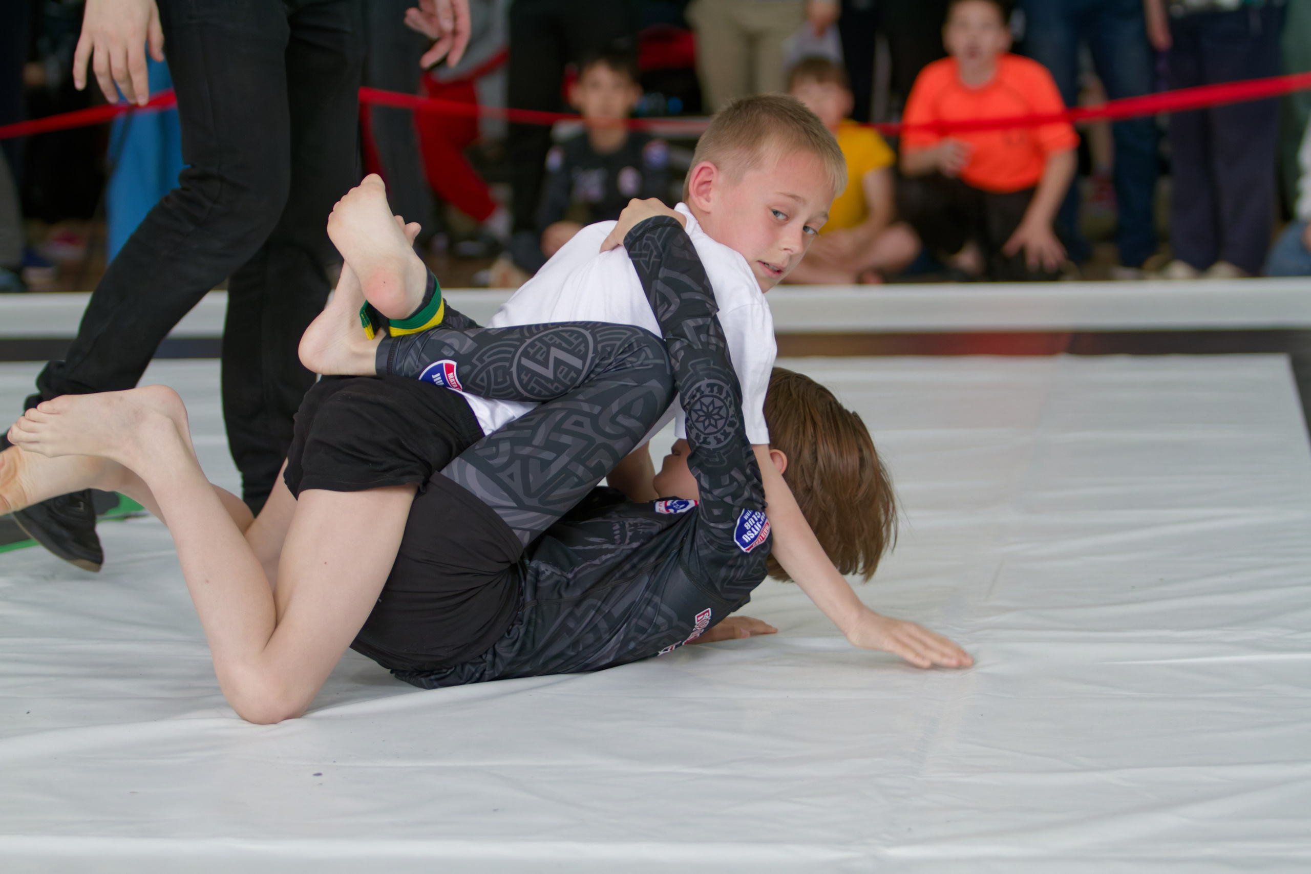 Борьба. Джиу-джитсу 26.04.2025. Репортажный и спортивный фотограф в г. Пермь Зильберг Павел