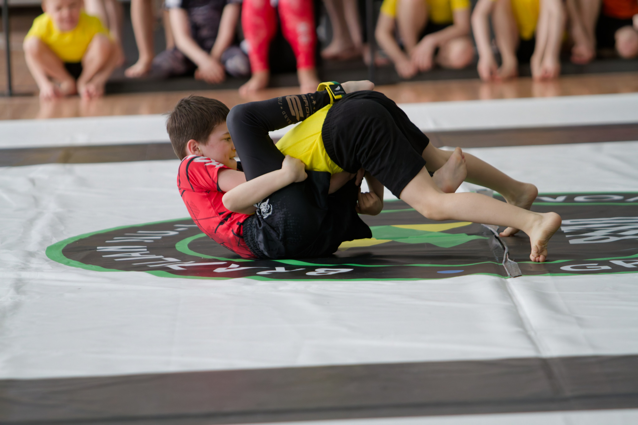 Борьба. Джиу-джитсу 26.04.2025. Репортажный и спортивный фотограф в г. Пермь Зильберг Павел