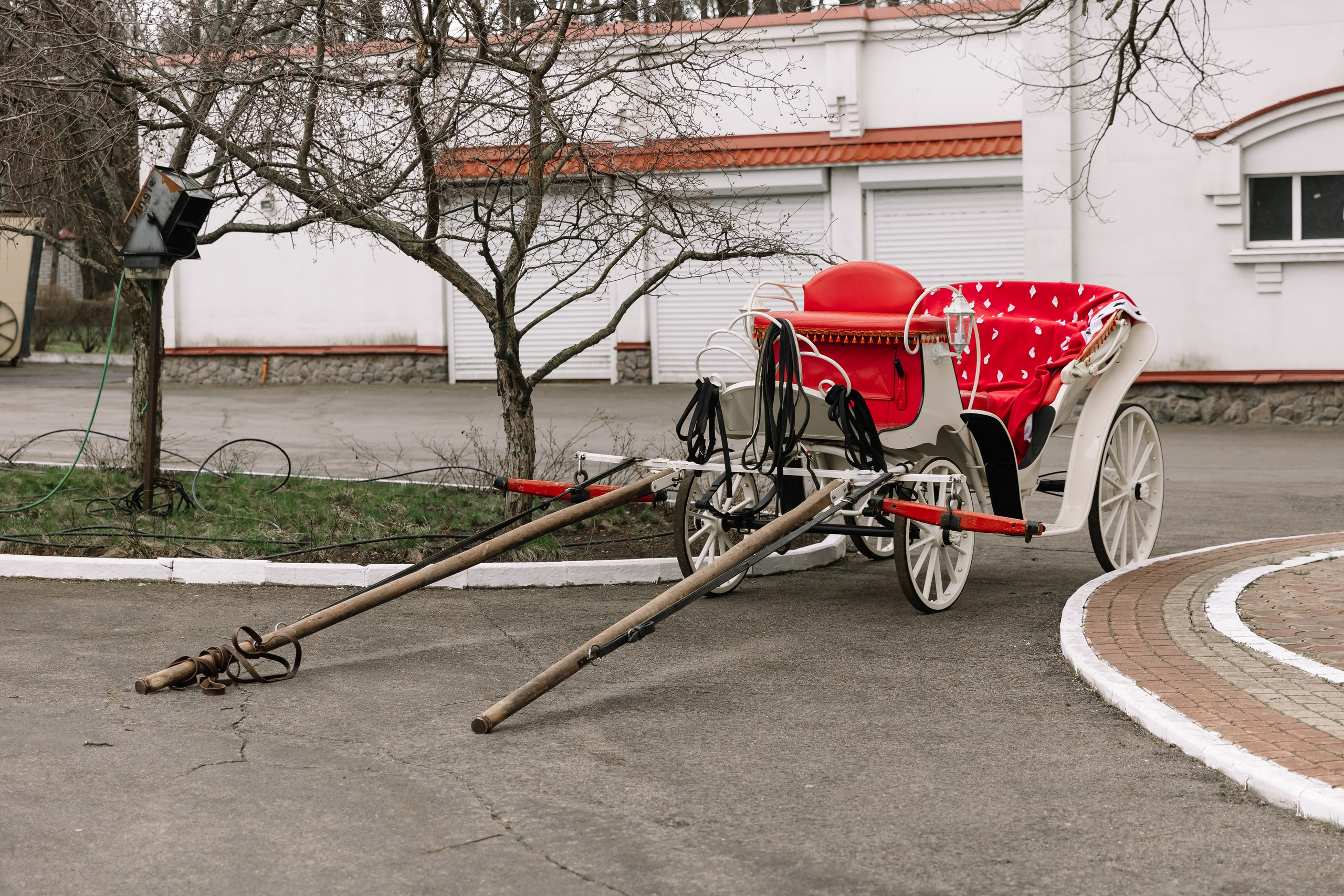 День Орловского рысака. Парк-отель Яр. Свадебный, репортажный фотограф Ирина Шкурина