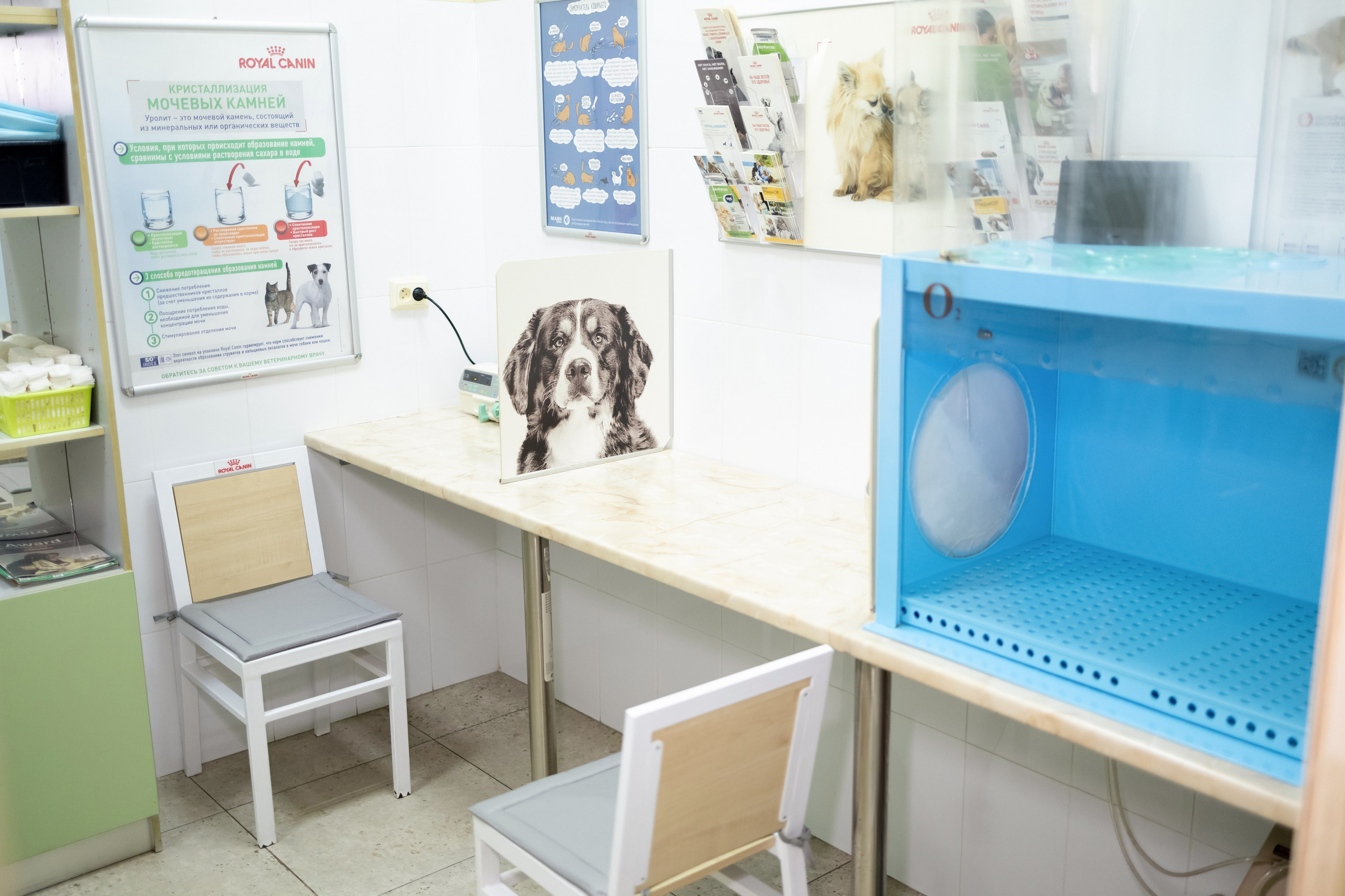 Ветеринарная клиника